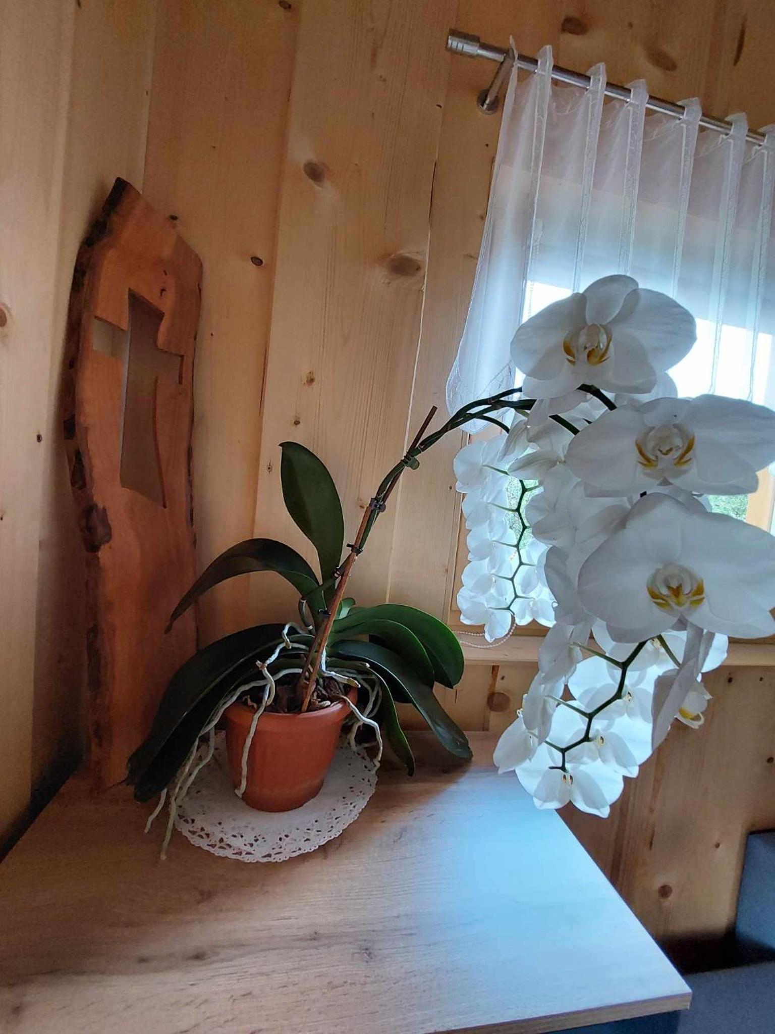 Photo 38