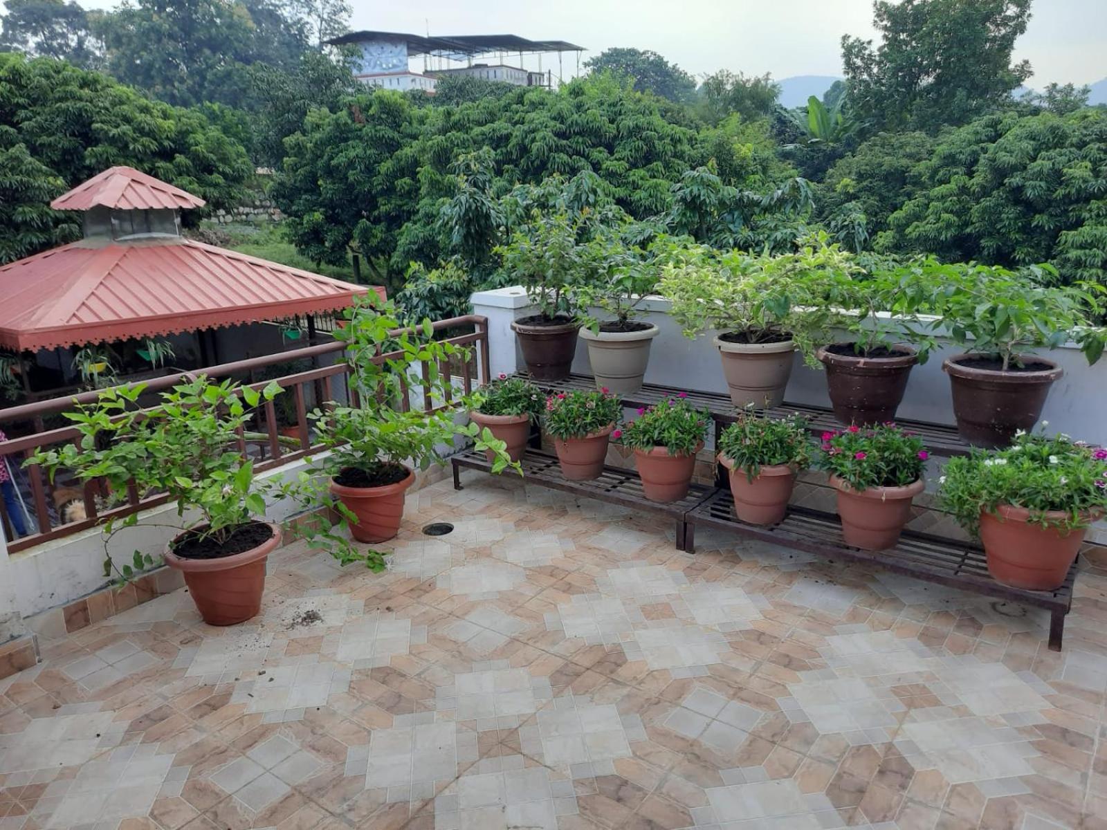 Sunnyside cottages