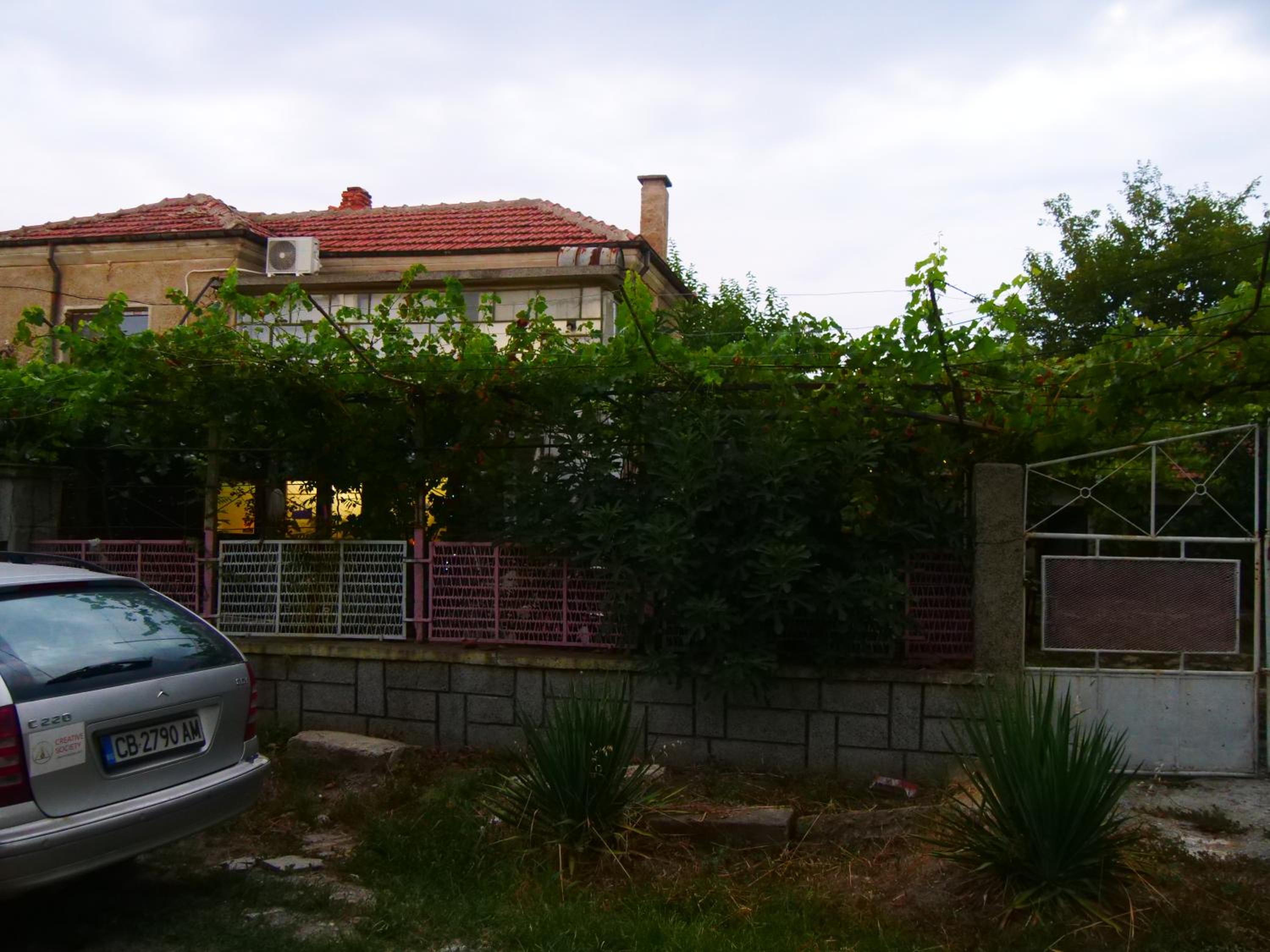 Cactus house