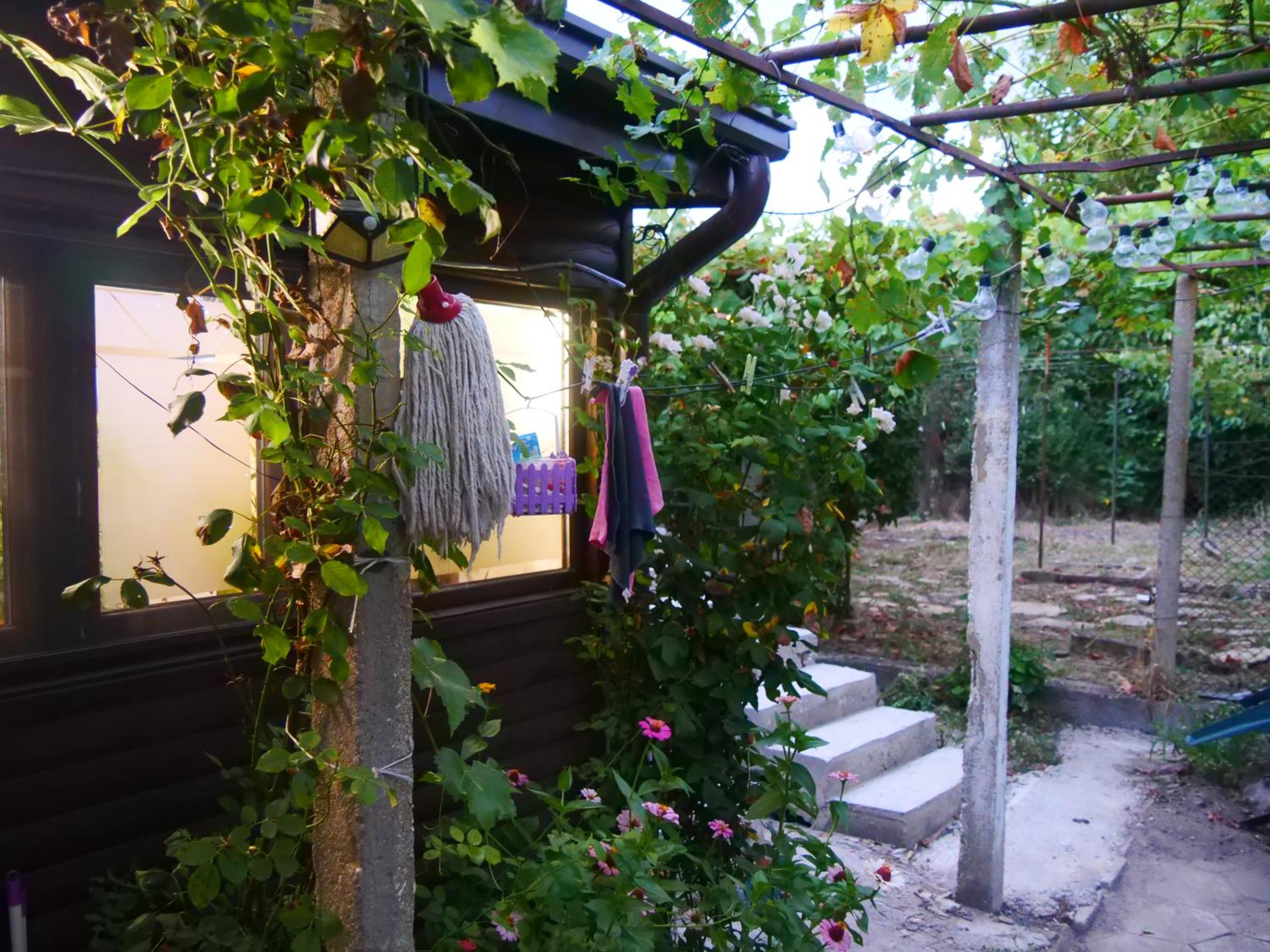 Cactus house