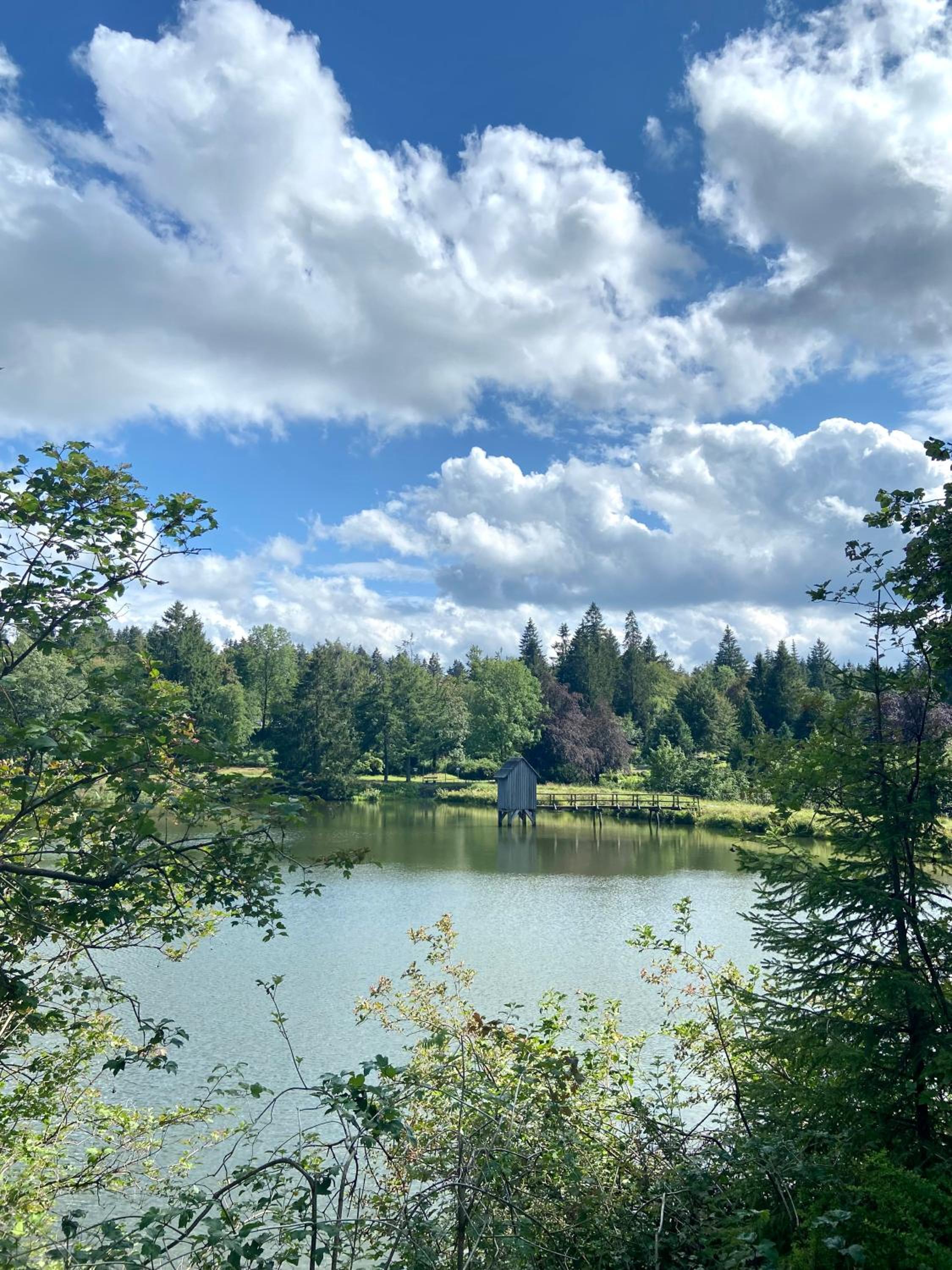 Harzpur Lodge - Pure Entspannung in purer Natur