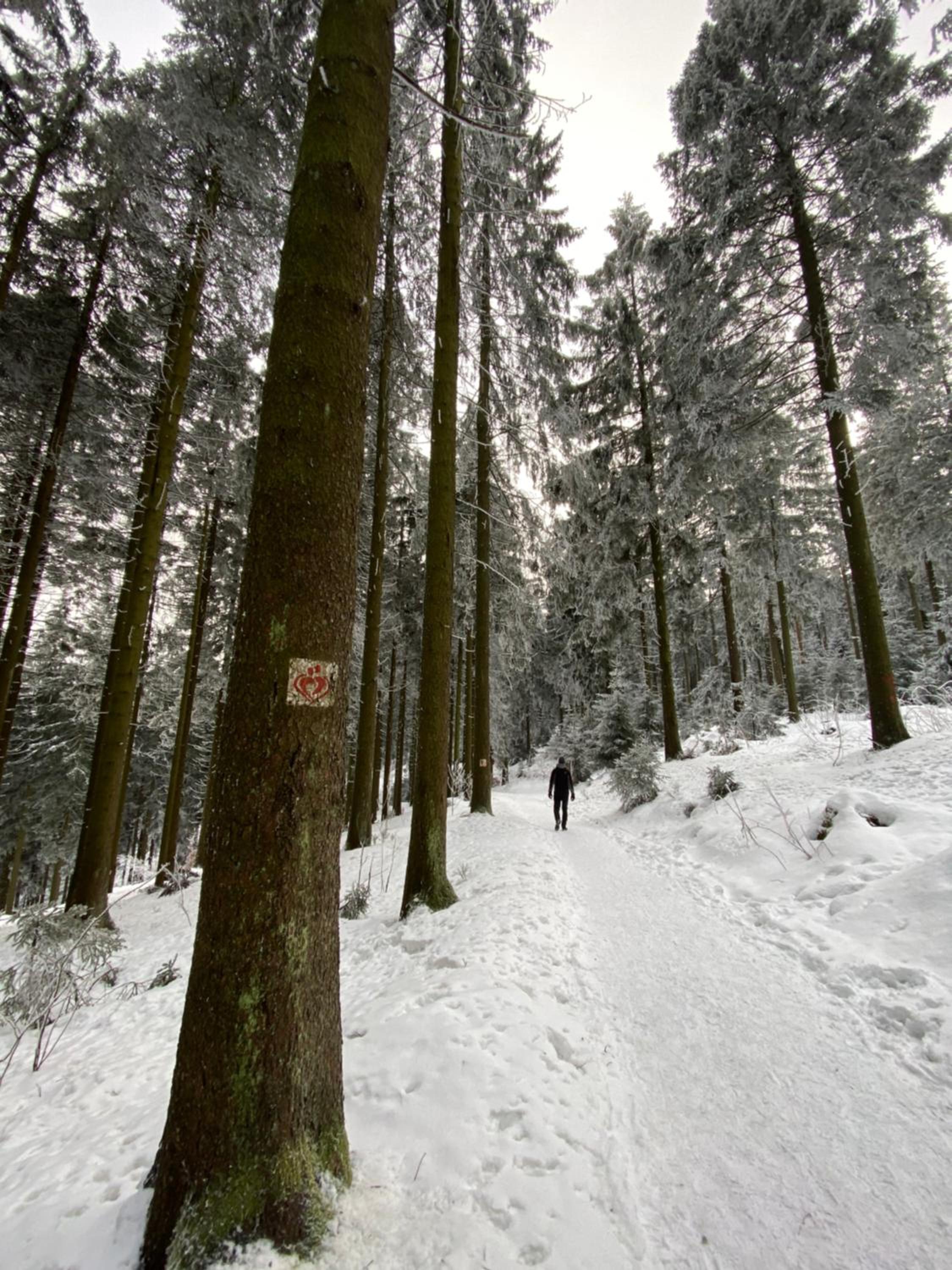 Harzpur Lodge - Pure Entspannung in purer Natur