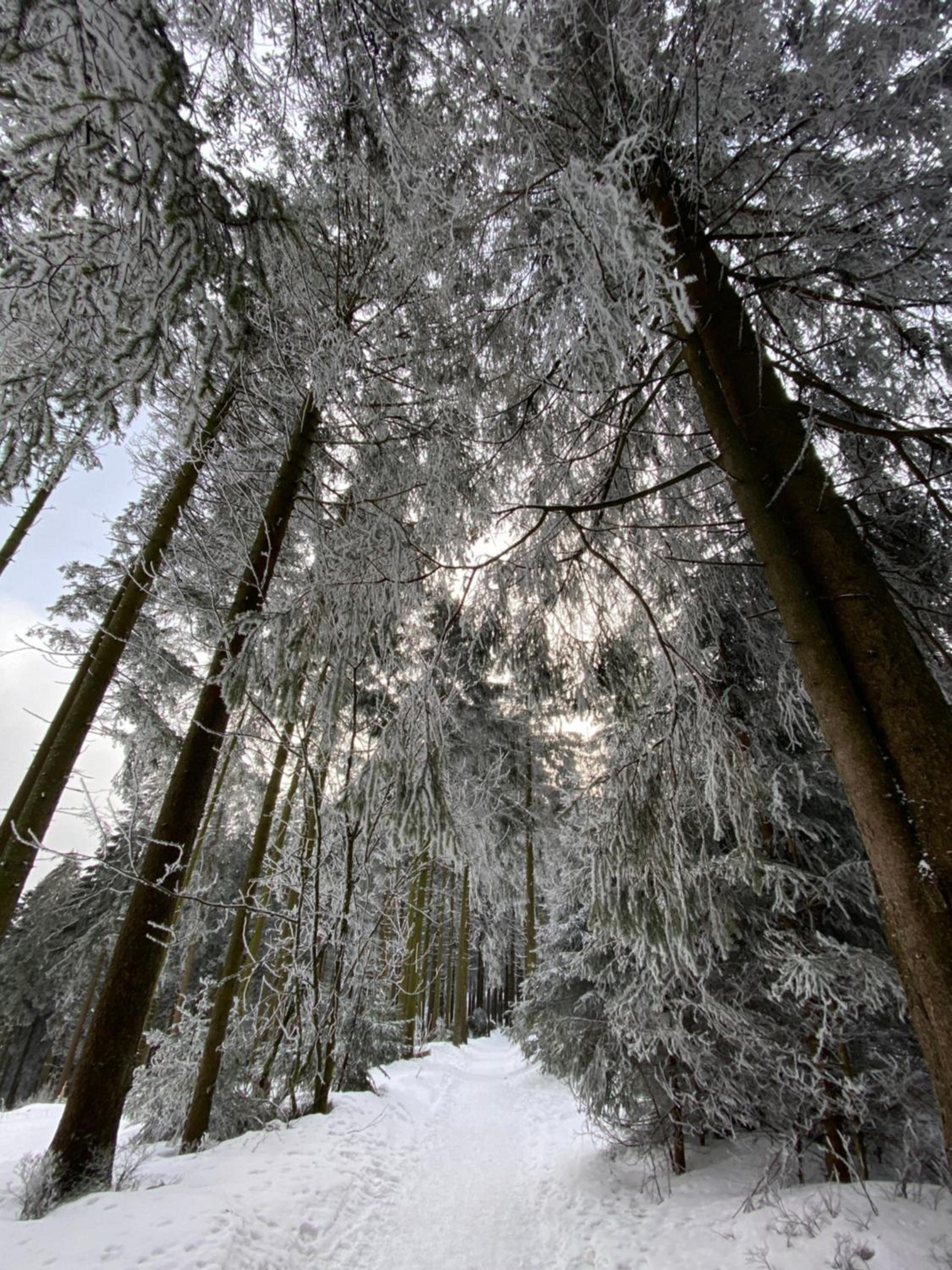Harzpur Lodge - Pure Entspannung in purer Natur