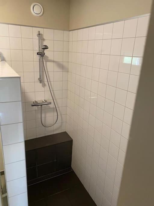 Hof Gensterbloem