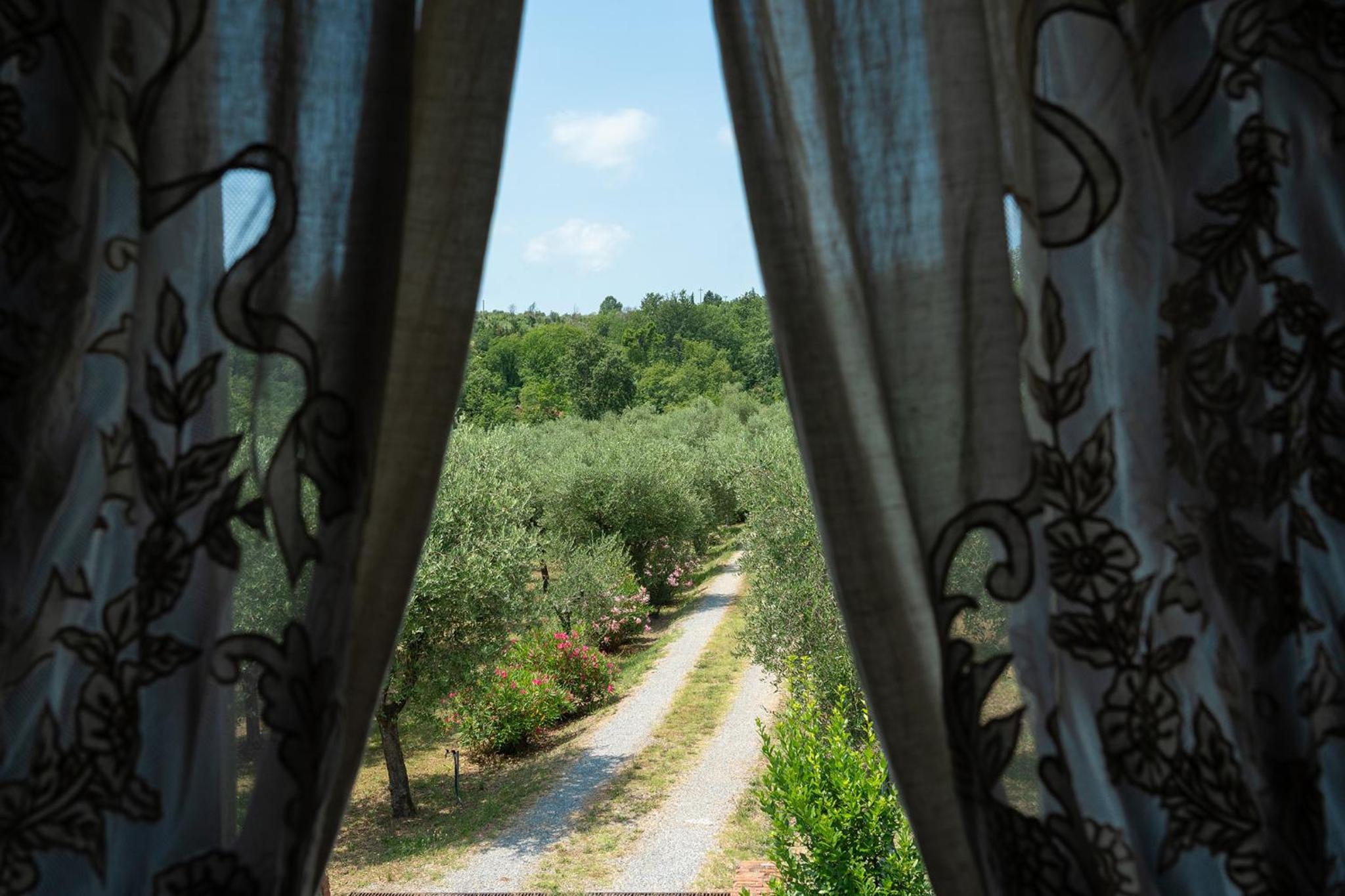 Podere Del Boscaccio