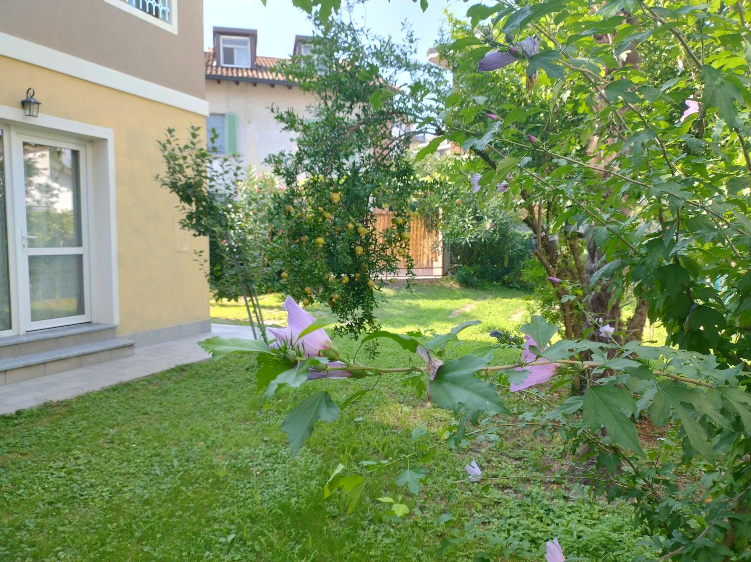 Grace's house view 3