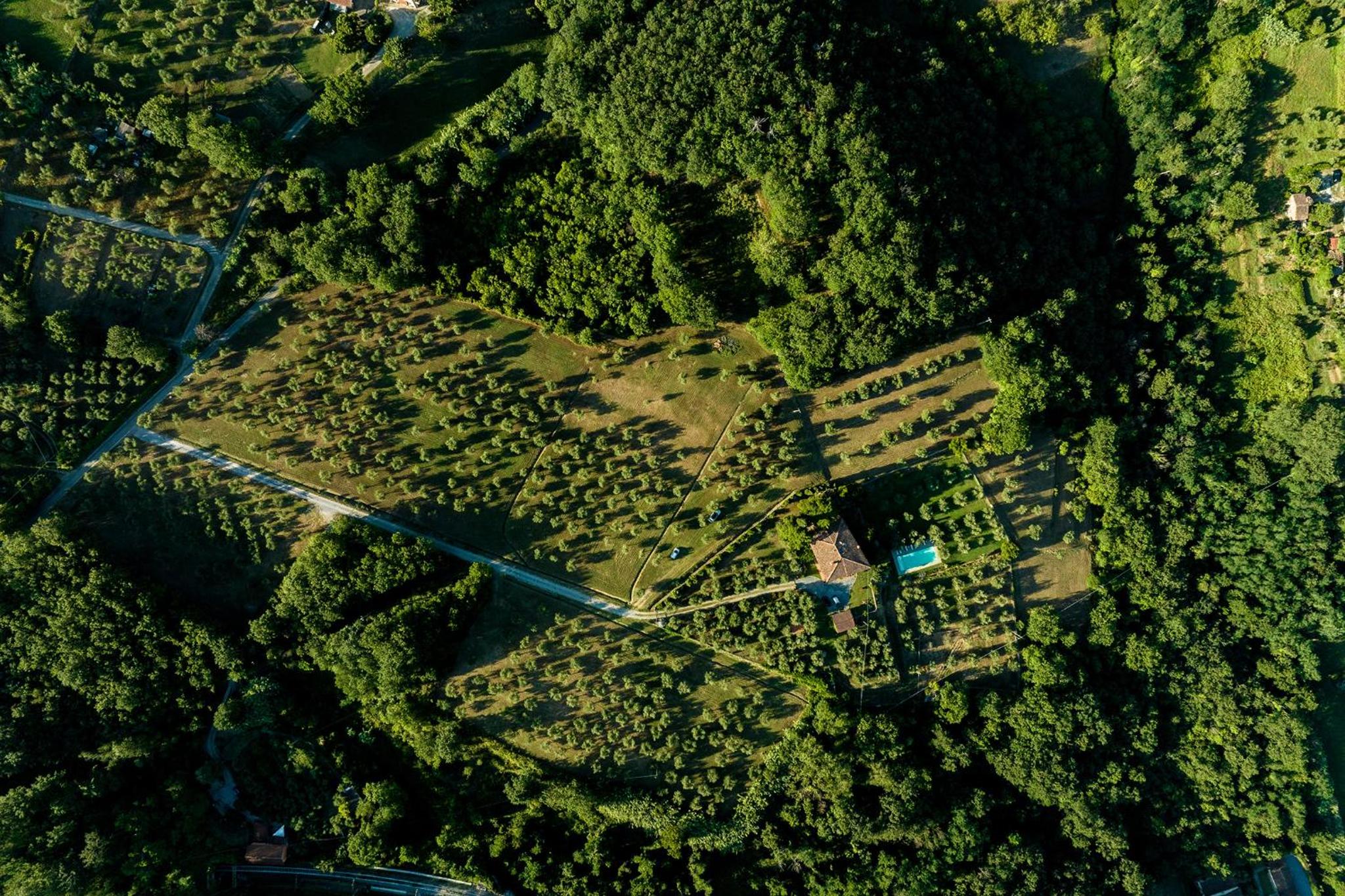 Podere Del Boscaccio