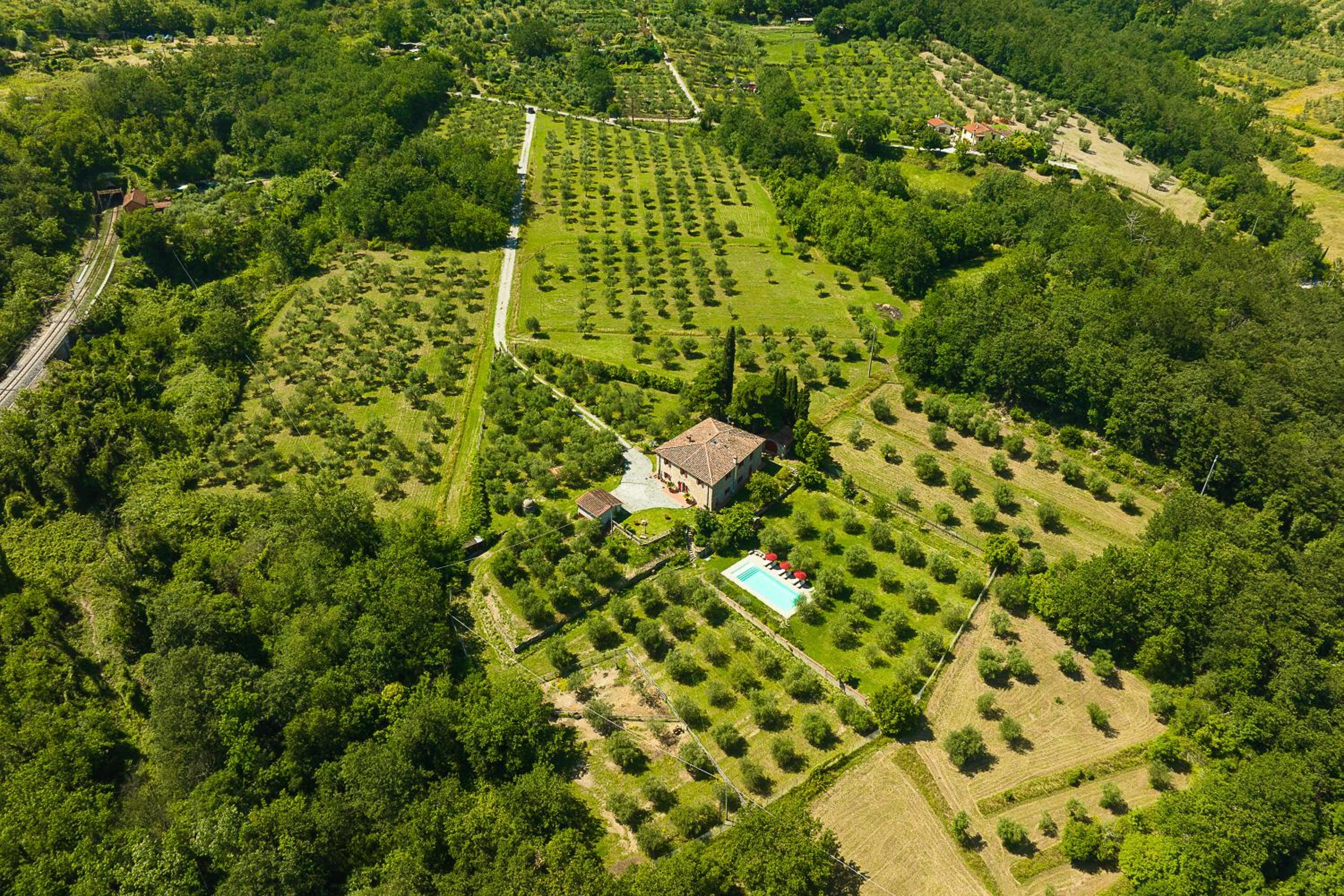 Podere Del Boscaccio