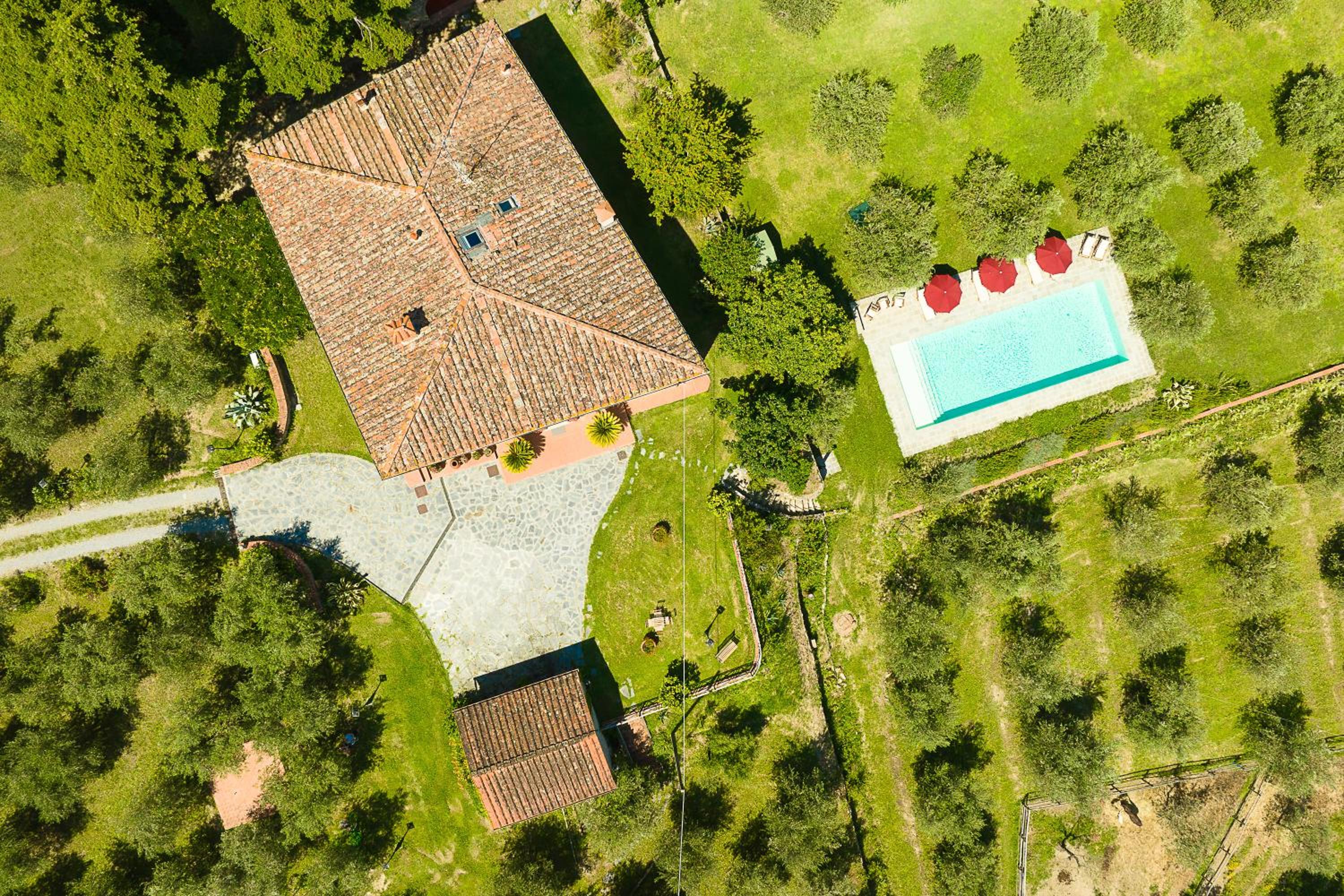 Podere Del Boscaccio