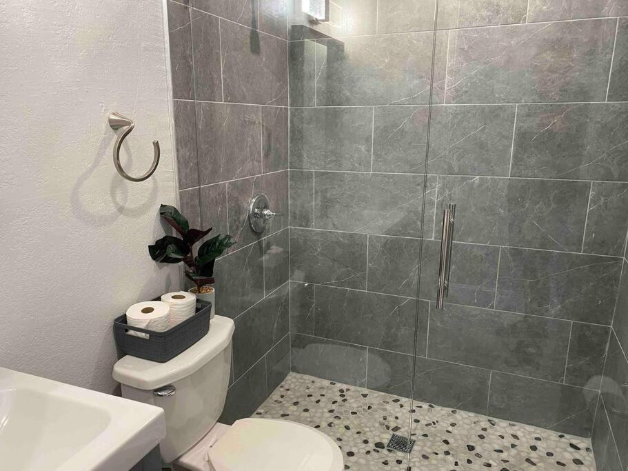 Charming 2-Bedrooms Central Clearwater Apartment With Private Backyard