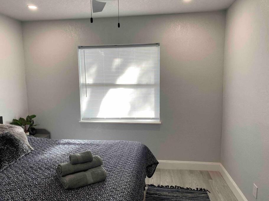 Charming 2-Bedrooms Central Clearwater Apartment With Private Backyard