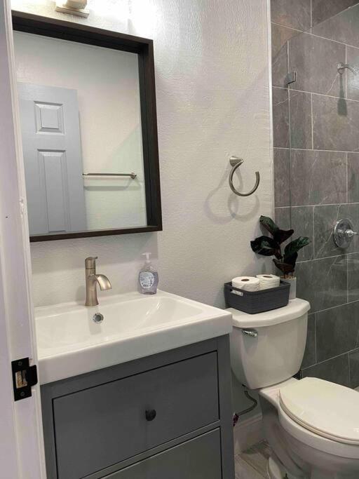 Charming 2-Bedrooms Central Clearwater Apartment With Private Backyard