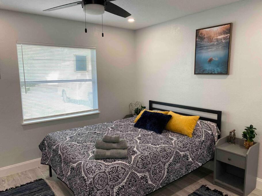 Charming 2-Bedrooms Central Clearwater Apartment With Private Backyard