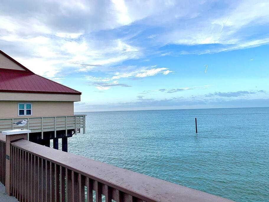 Charming 2-Bedrooms Central Clearwater Apartment With Private Backyard