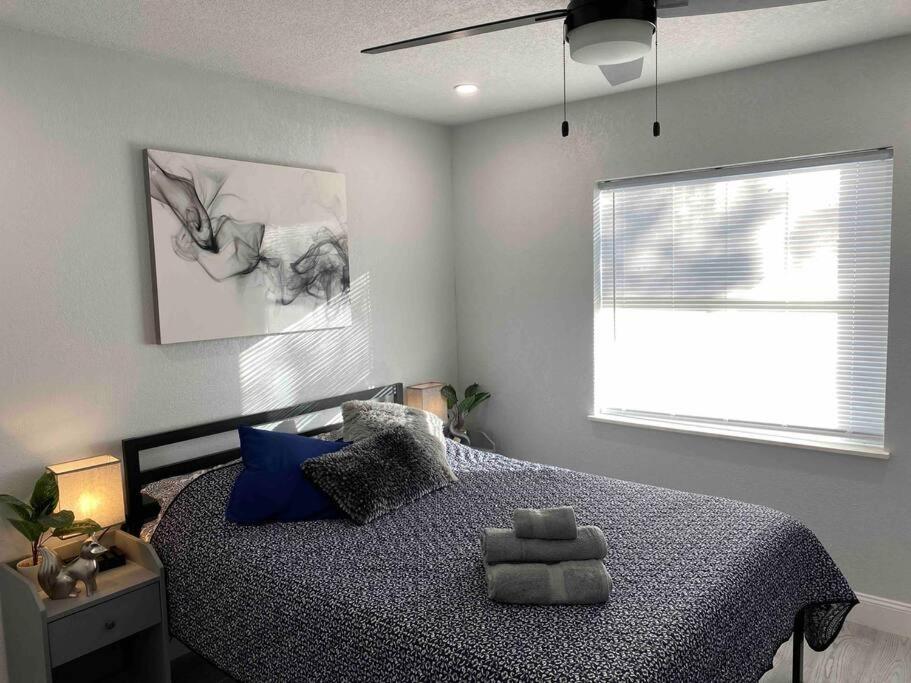 Charming 2-Bedrooms Central Clearwater Apartment With Private Backyard