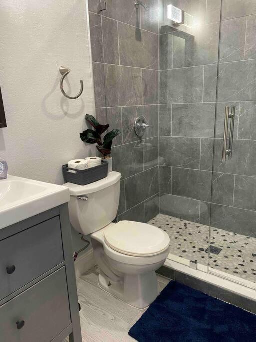 Charming 2-Bedrooms Central Clearwater Apartment With Private Backyard