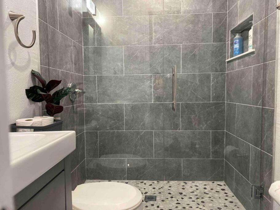 Charming 2-Bedrooms Central Clearwater Apartment With Private Backyard