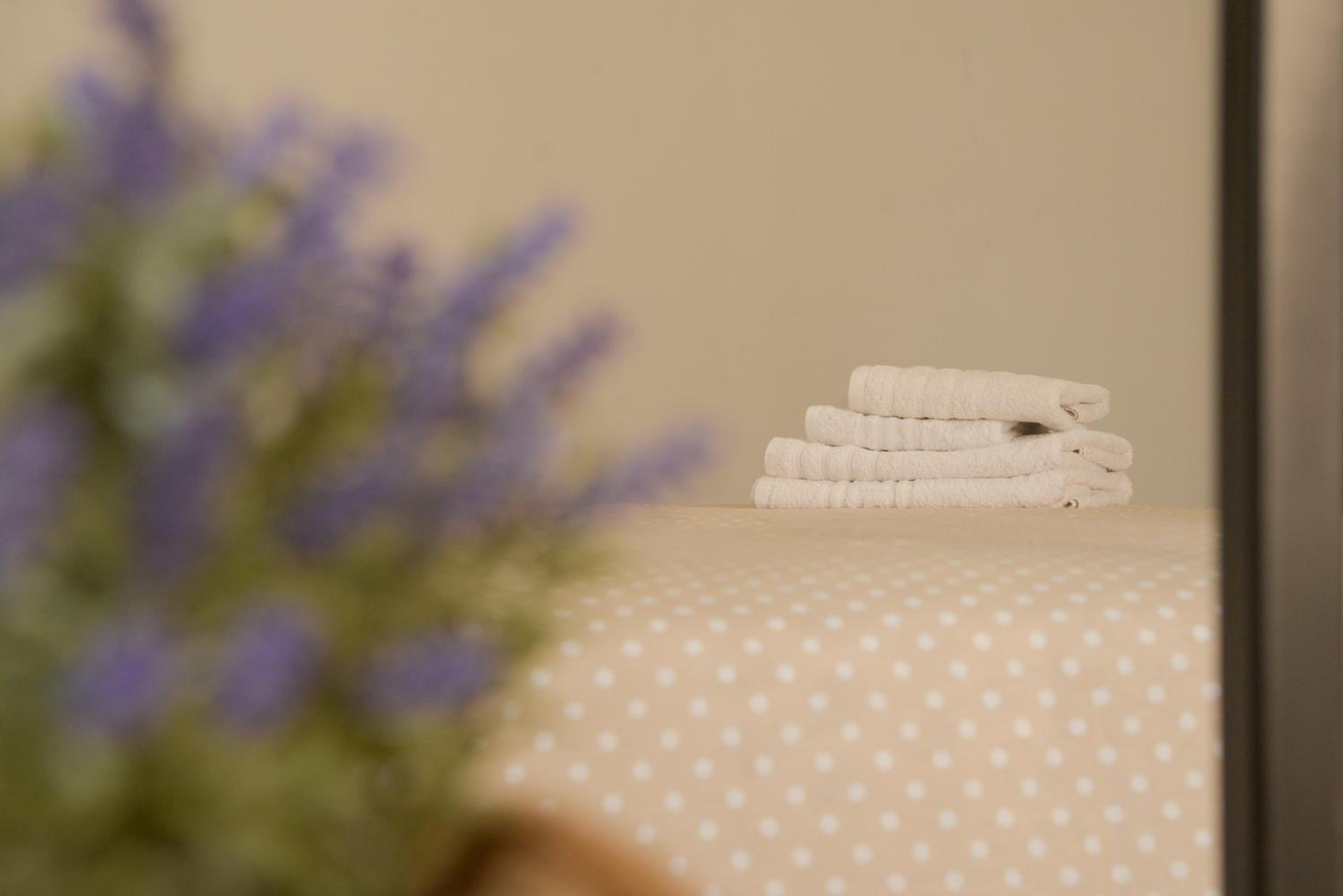 Virginia's Boutique Apartments