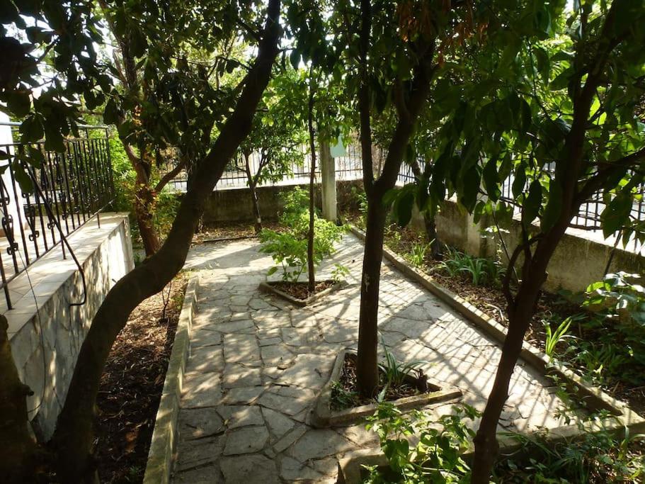 Photo 7