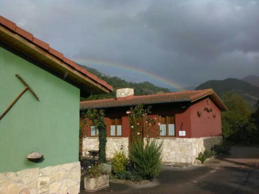Photo 41