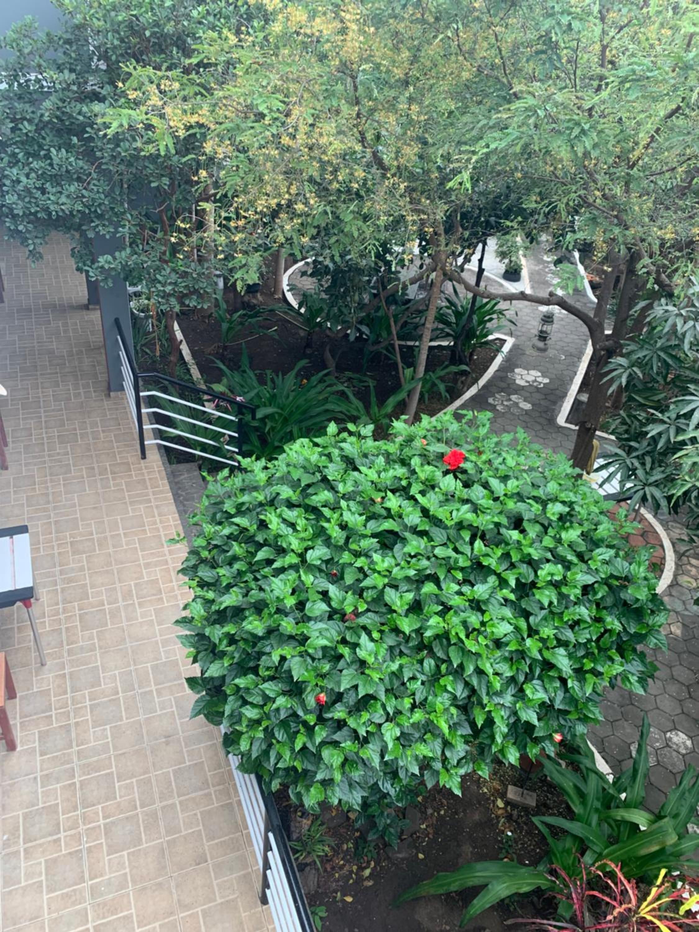 Photo 19