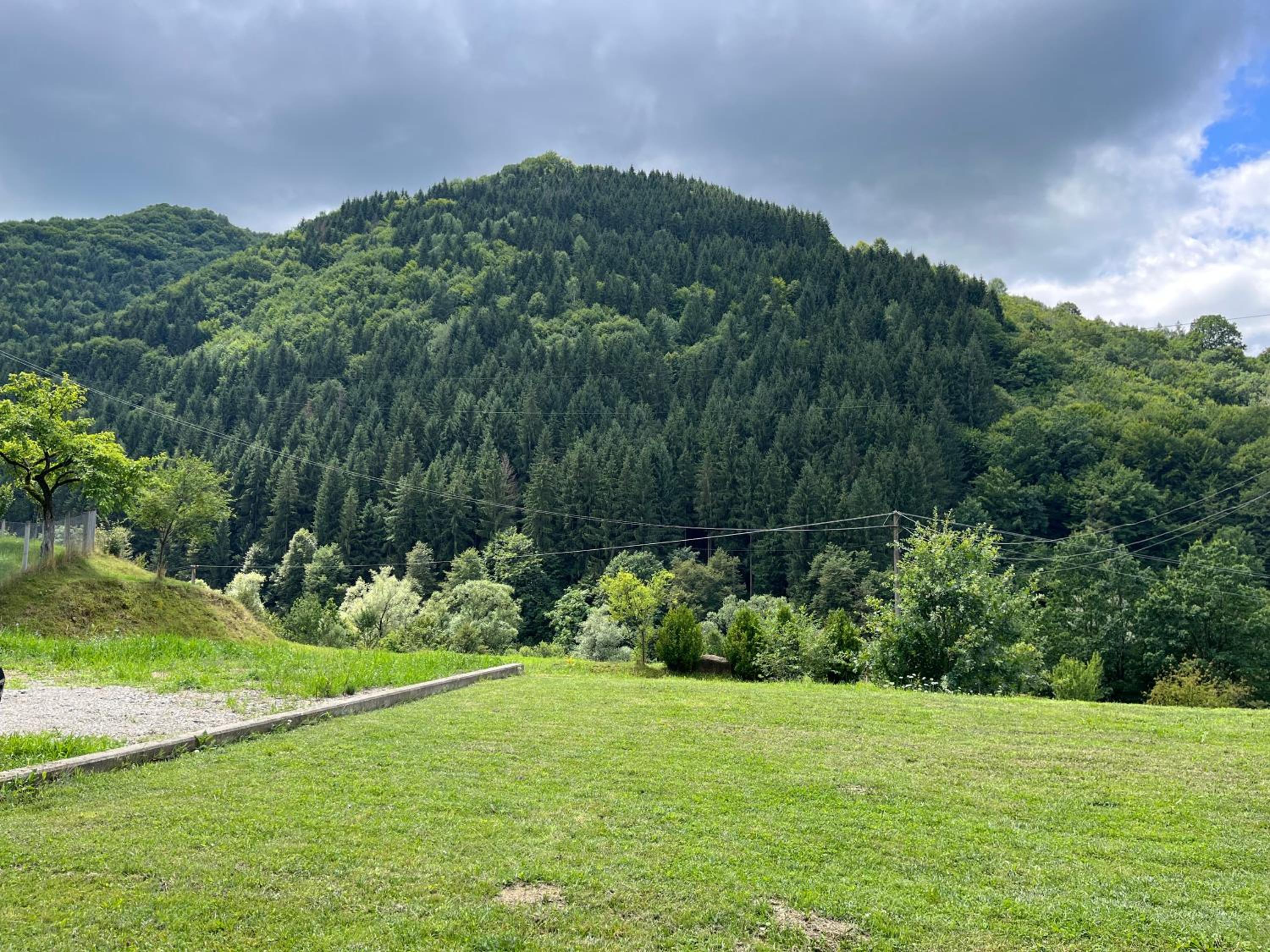 Casa Șimon