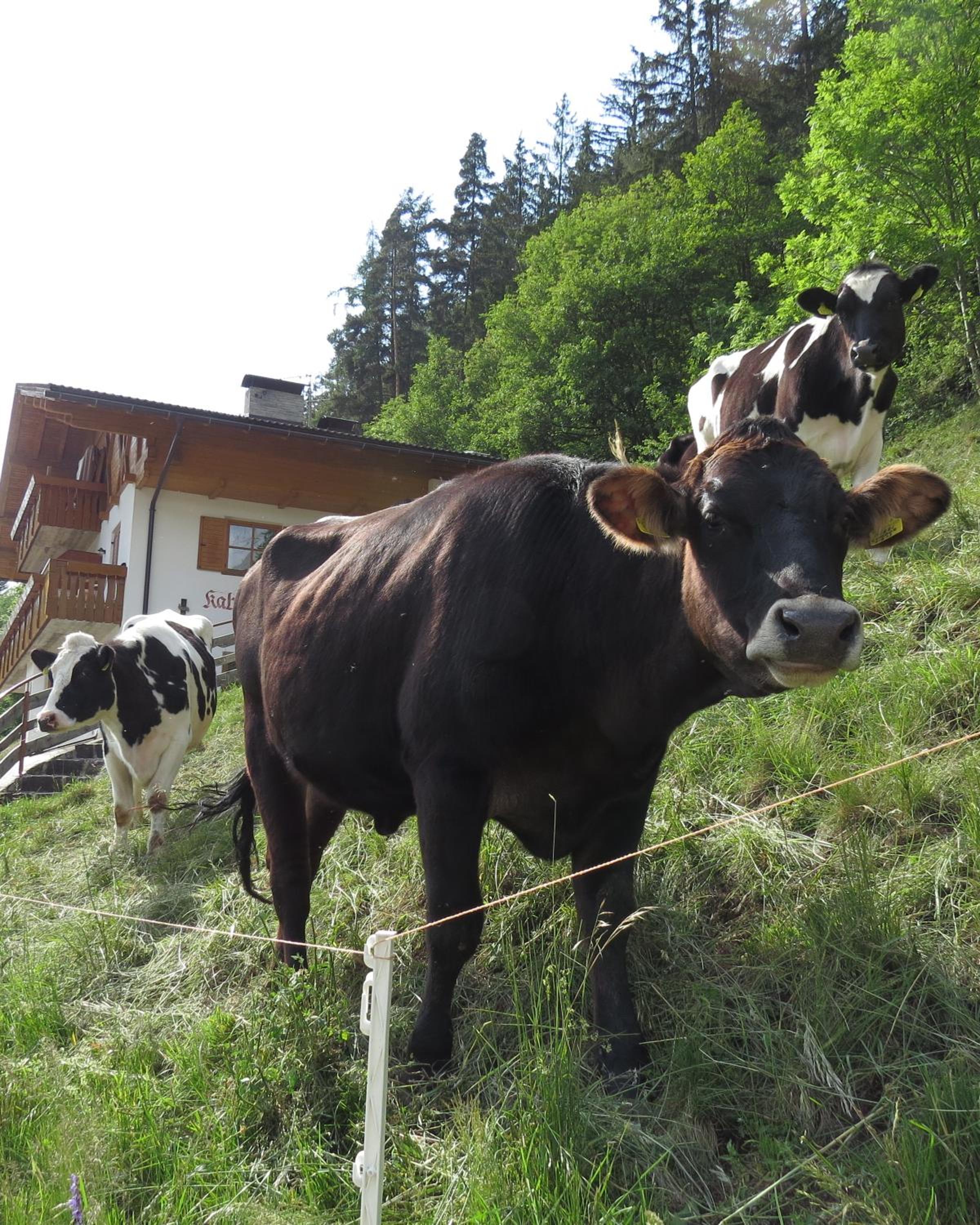 Agriturismo Kabishof