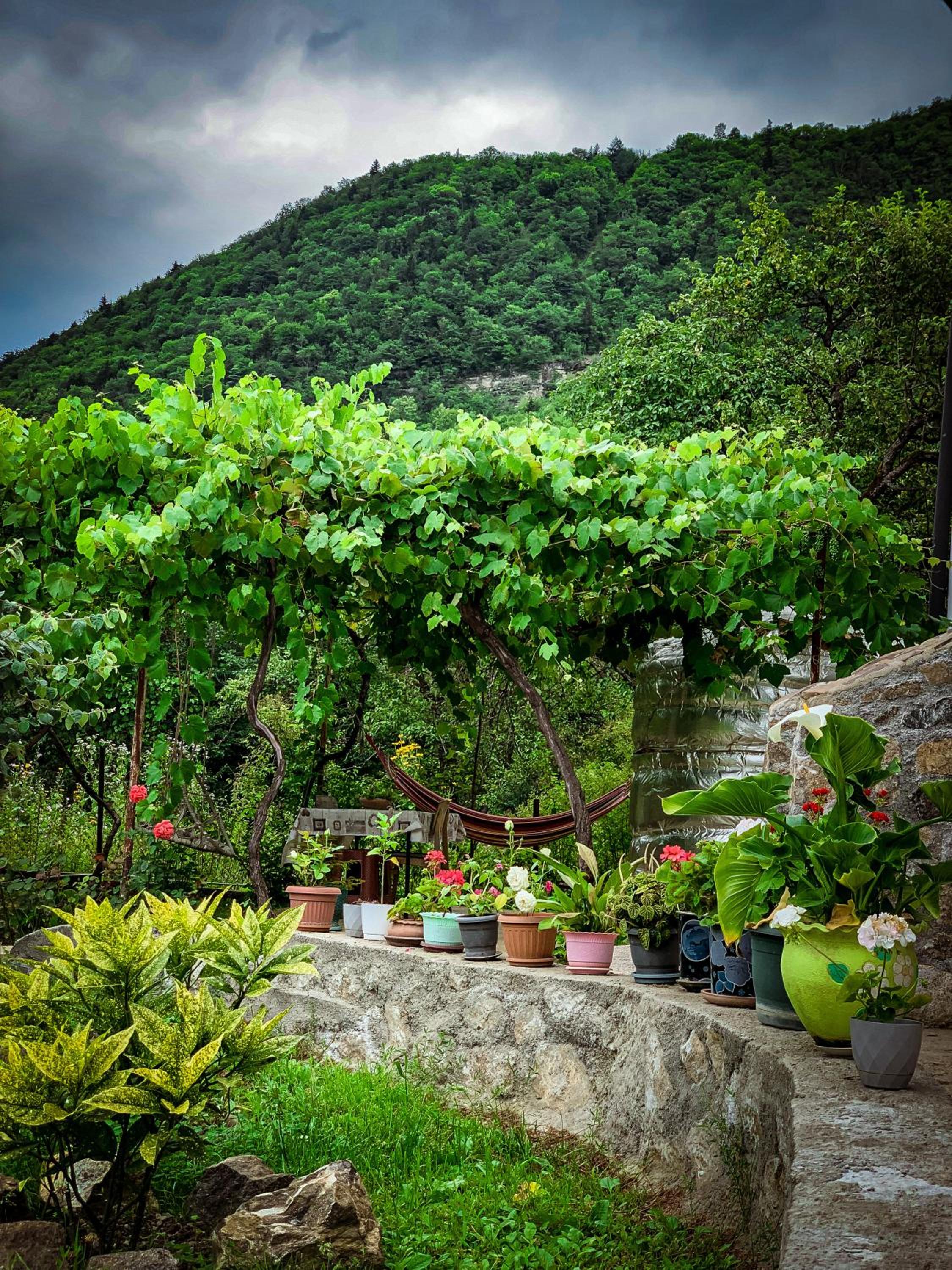 Family hotel mountain panorama
