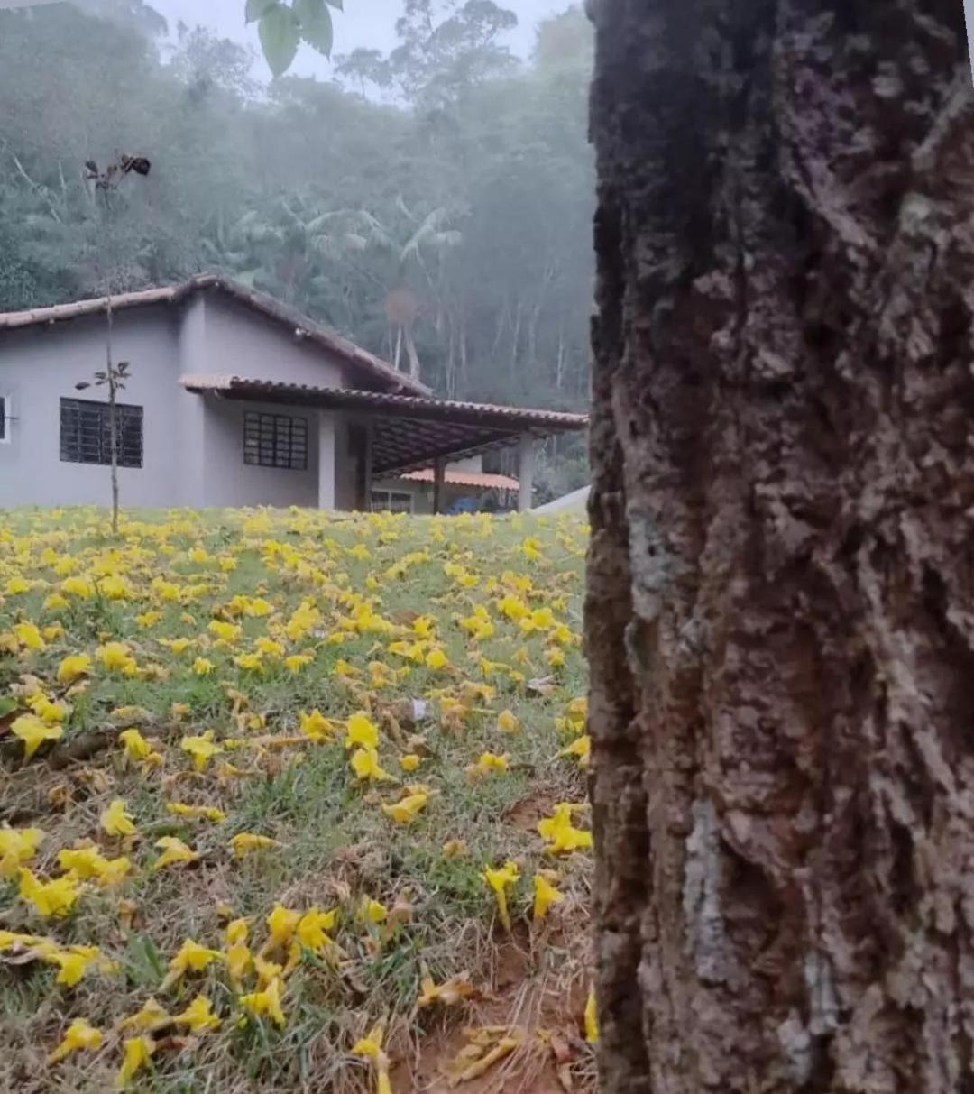 Sítio Recanto do Ipê