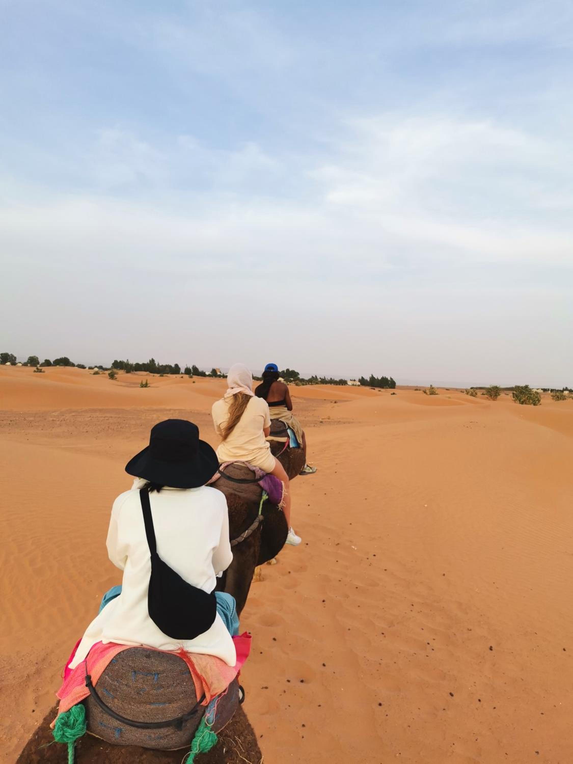 Jardin Kotori -Small Desert Camp in Merzouga - Image 2