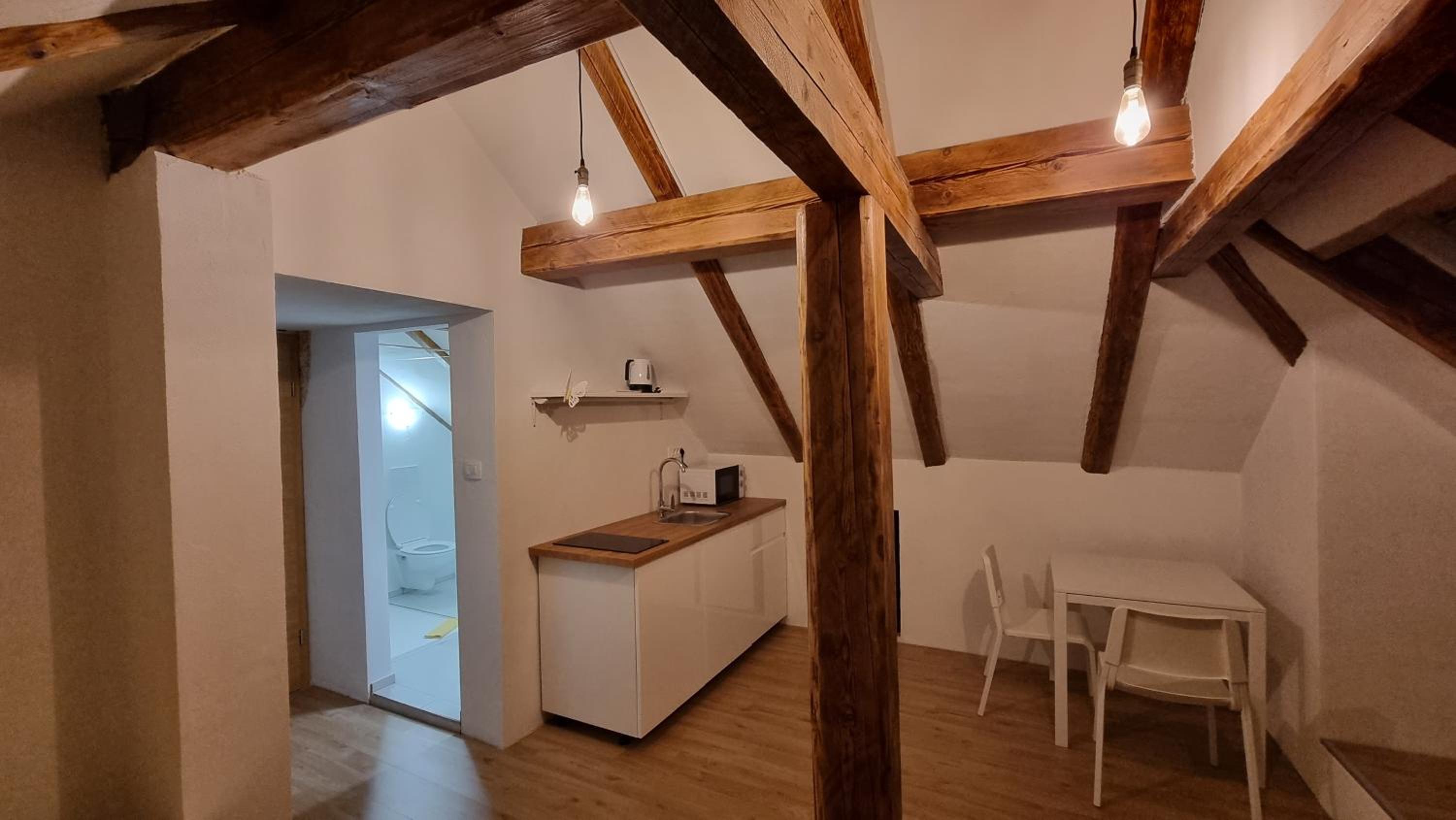 Apartments Žnidar view 5