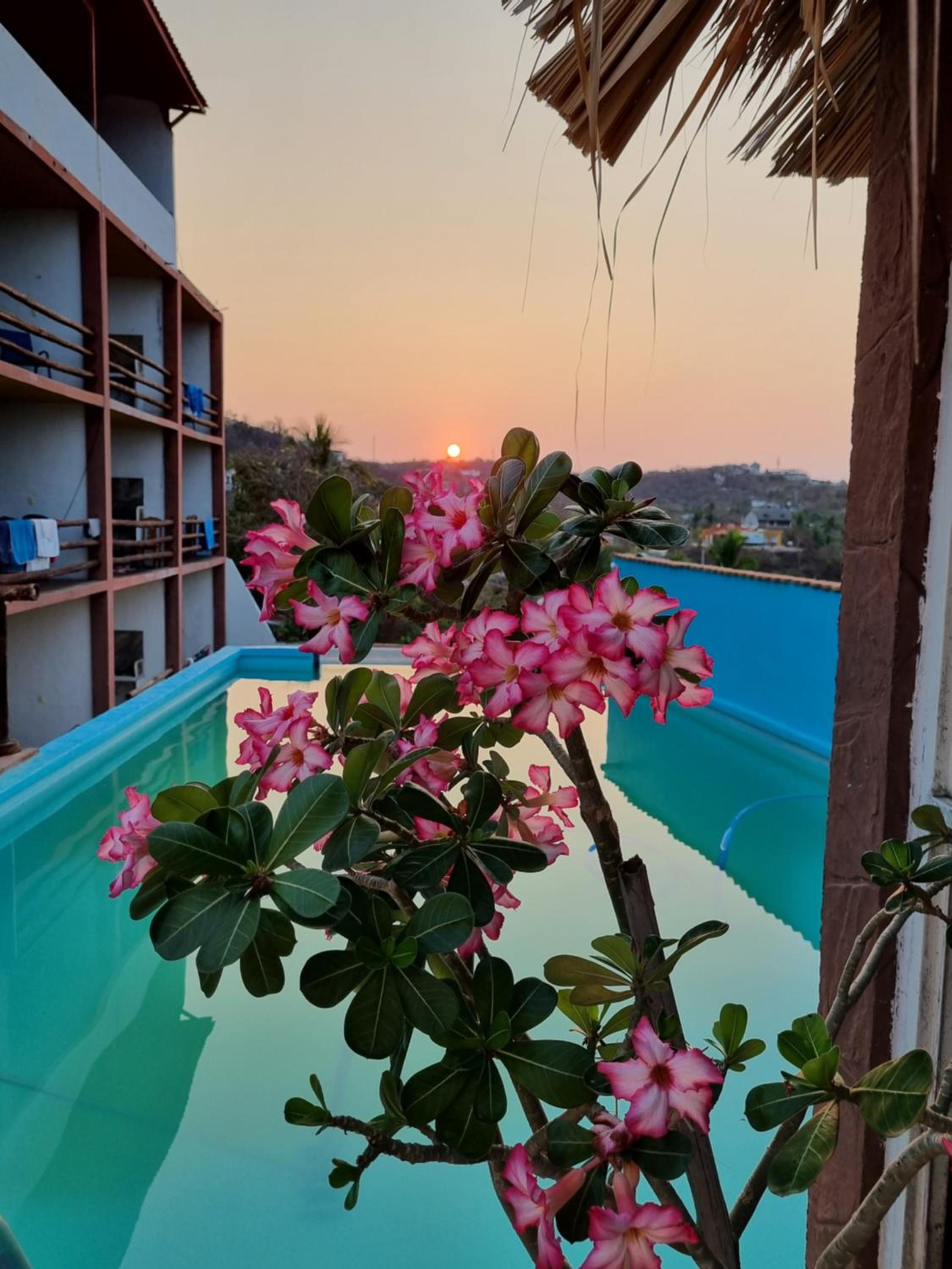 Namaste Zipolite Suites - Property Image 1