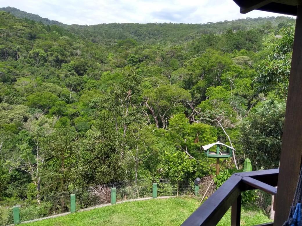 Casa Verde - #casinhasscherer