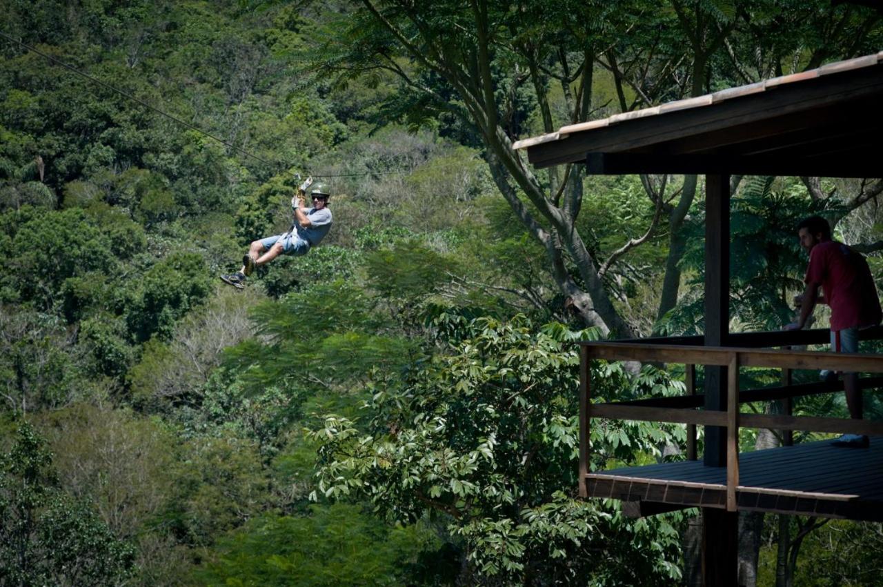 Casa Verde - #casinhasscherer