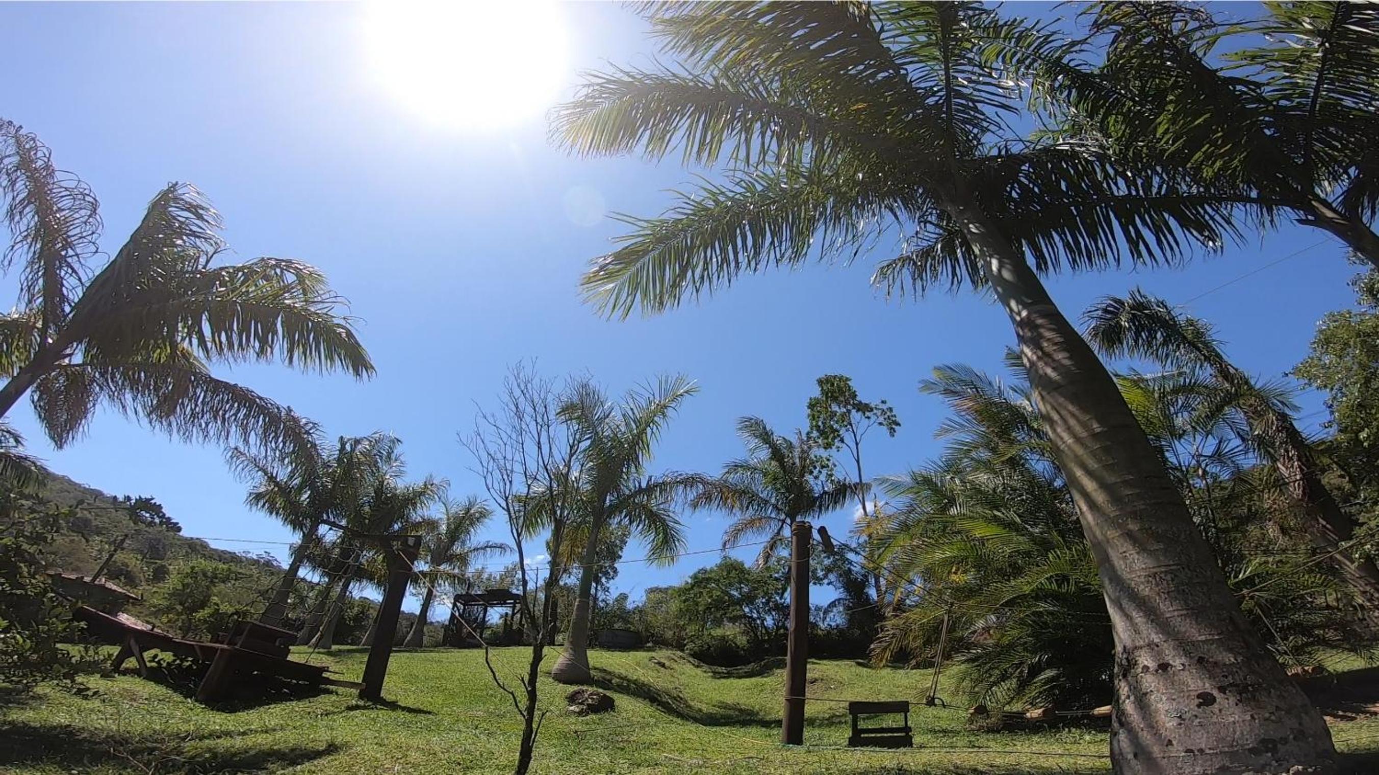 Casa Verde - #casinhasscherer