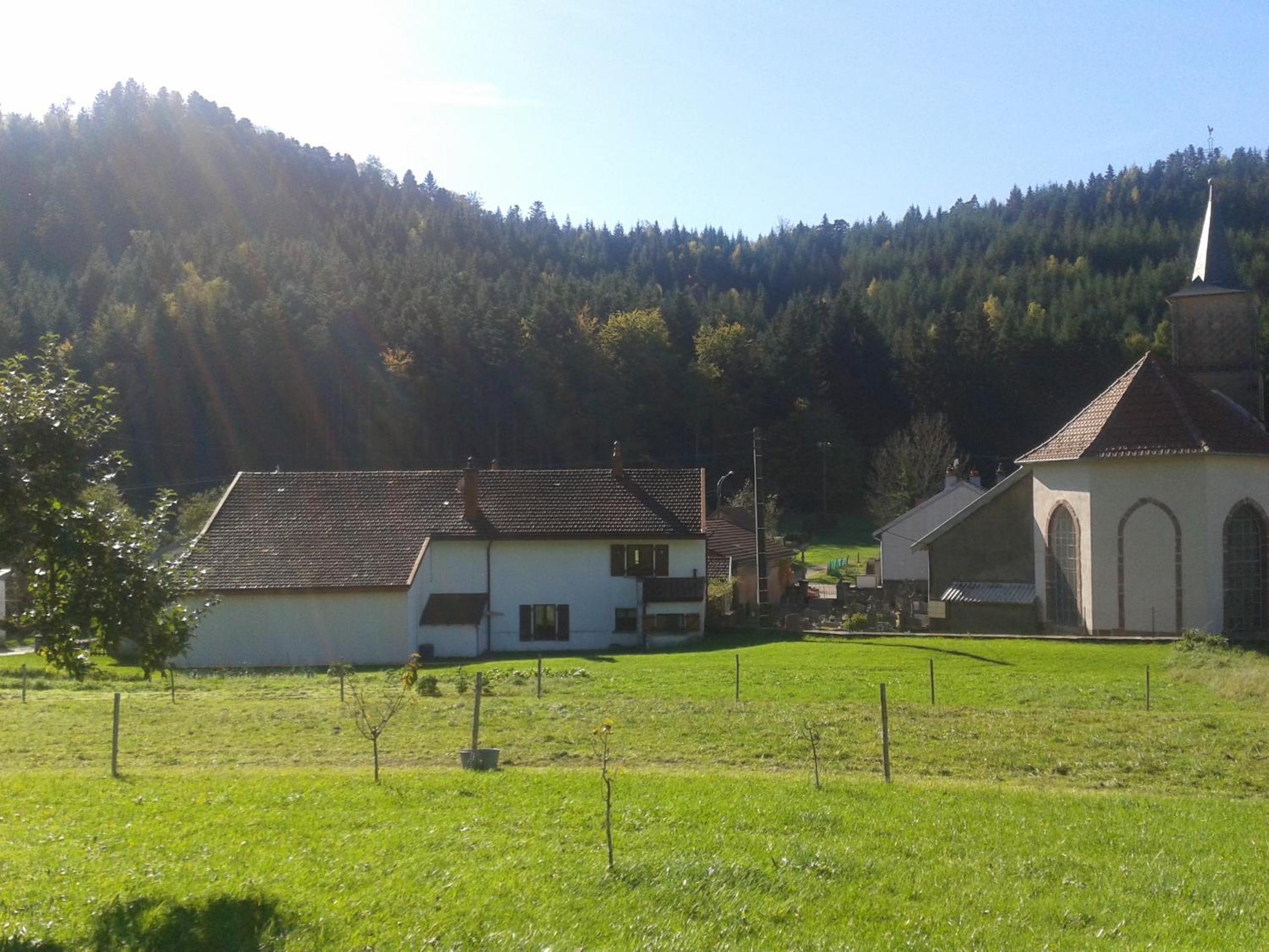 Photo 6