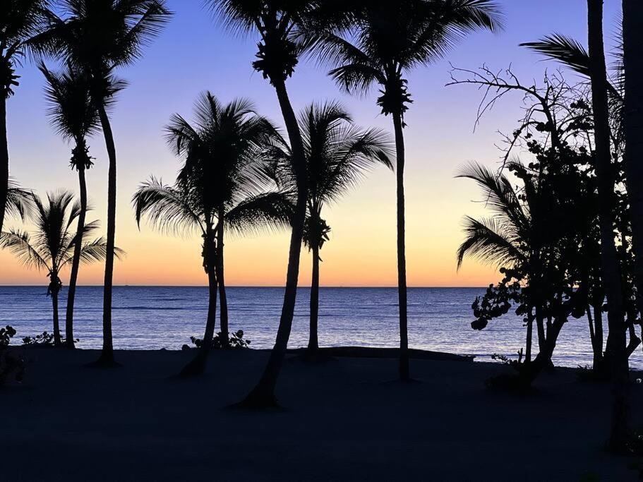 Apartamento en Playa Nueva Romana