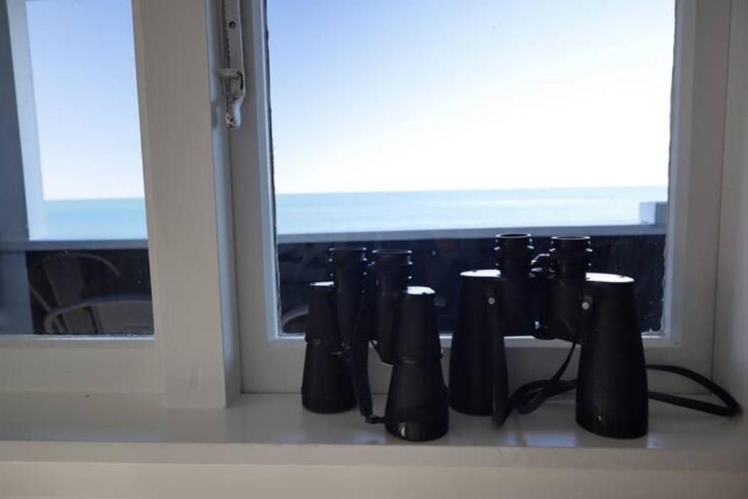 Hidden Gem, Whales & Dolphins, Epic Location - KK71342 view 5
