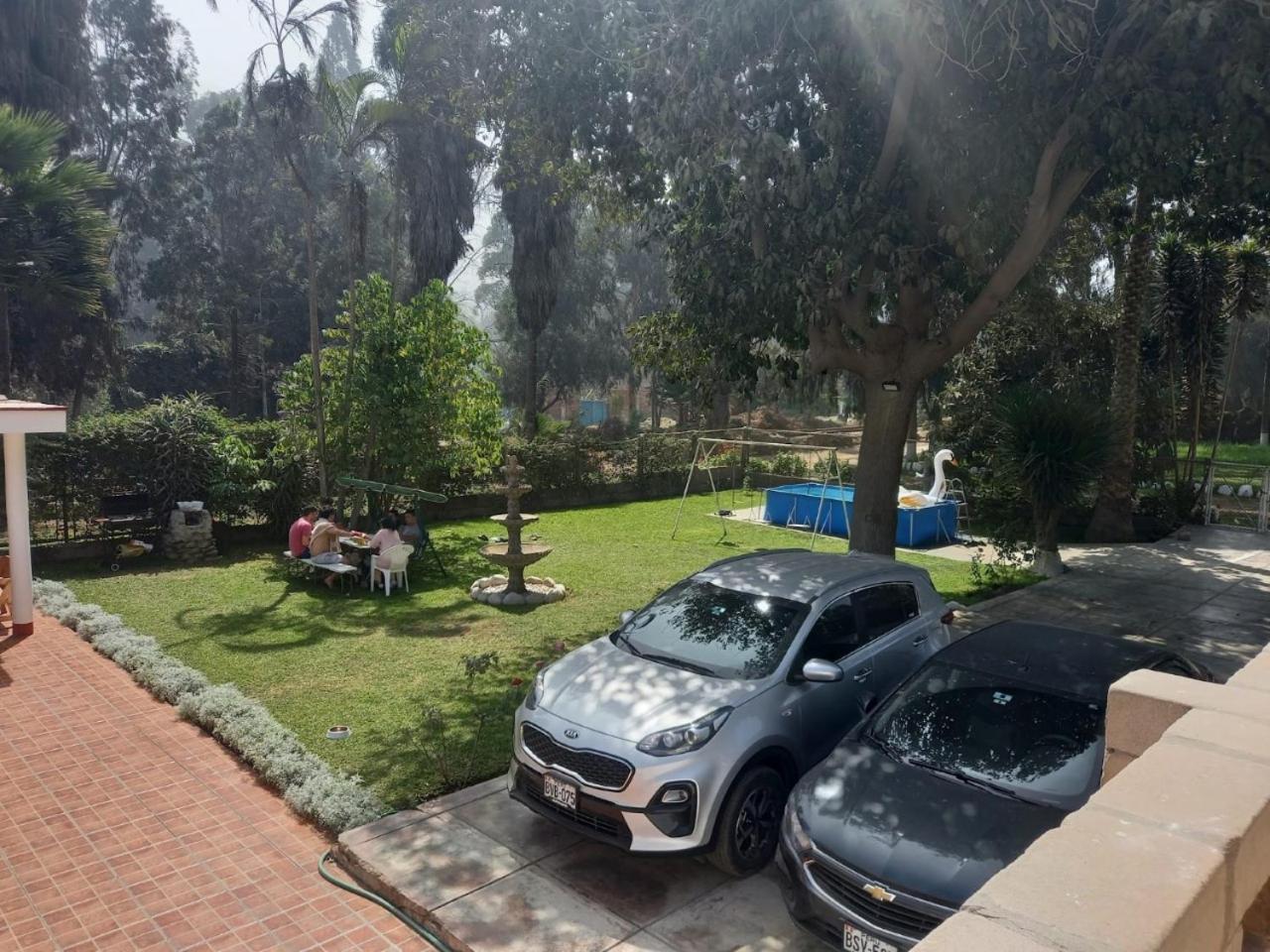 Photo 19