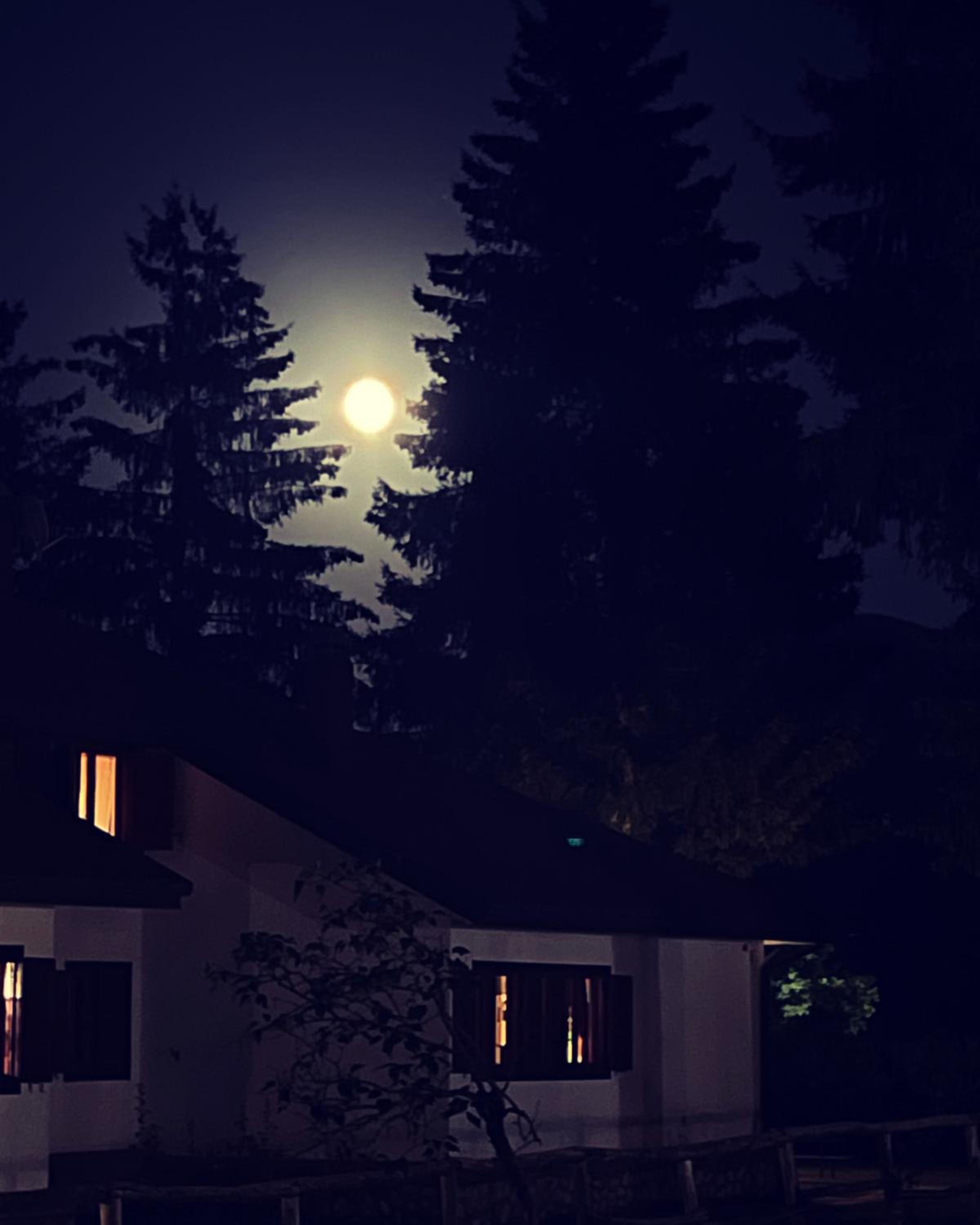 Chalet dell'Orso view 4