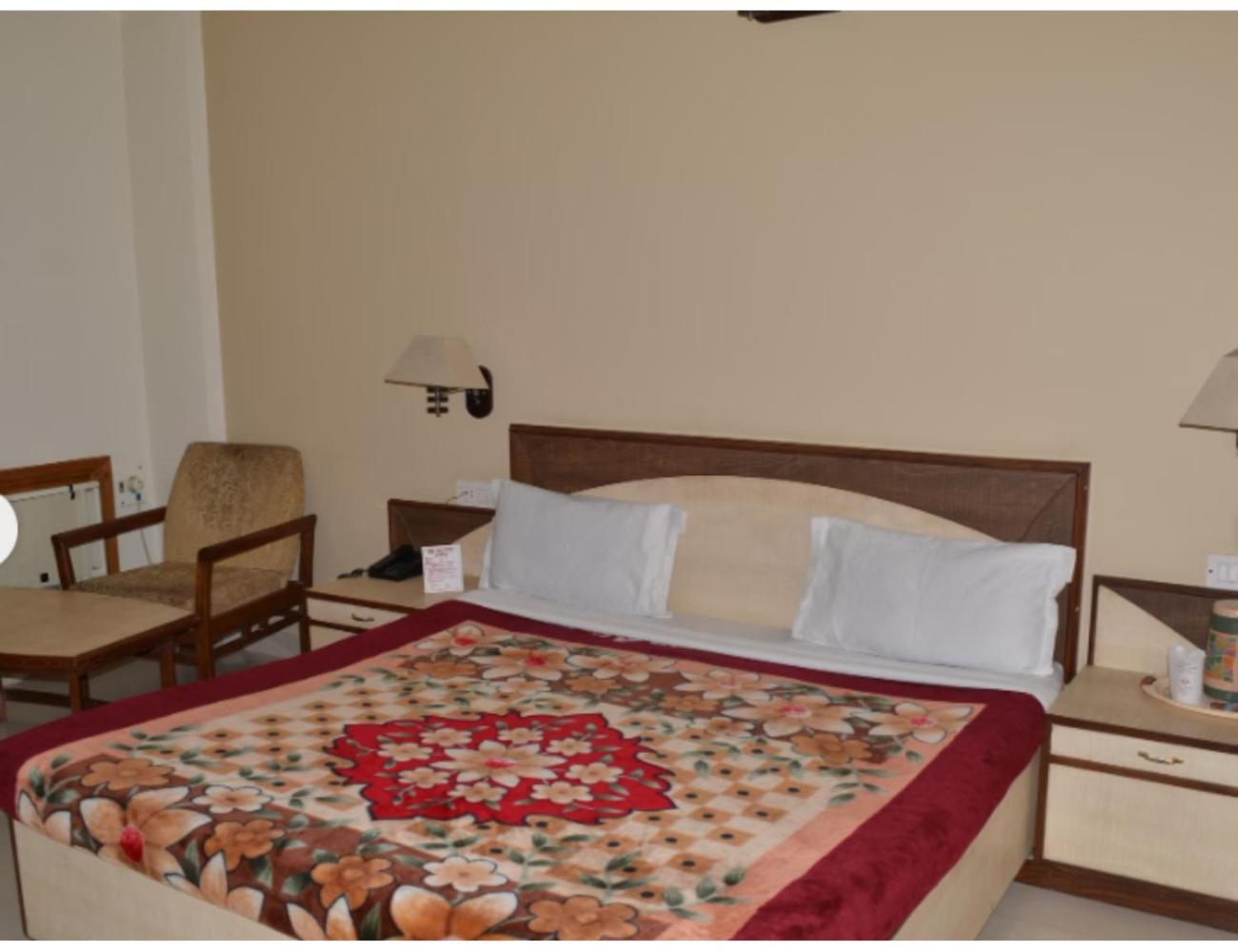 Vishal Hotel, Katra view 5