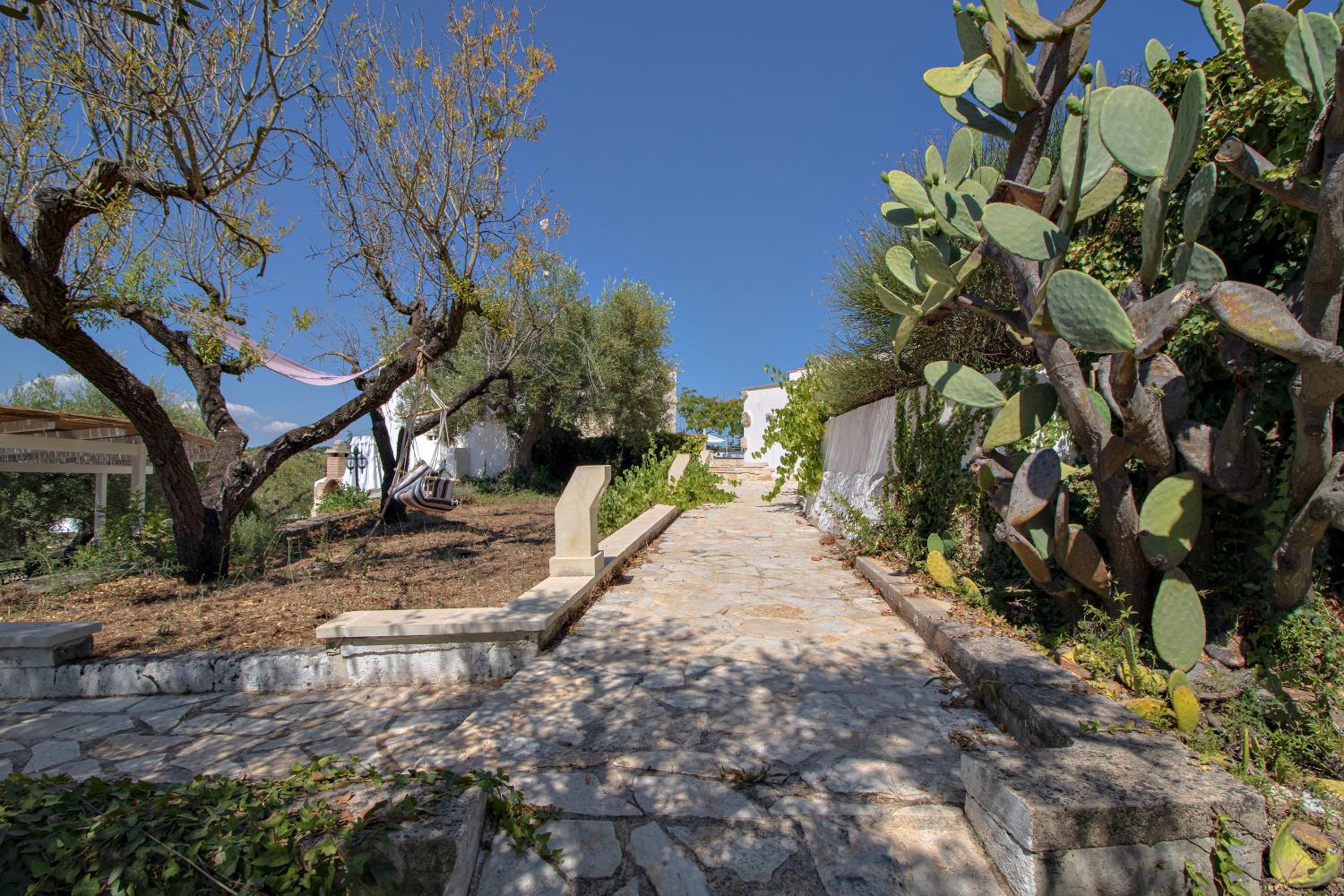 Photo 44