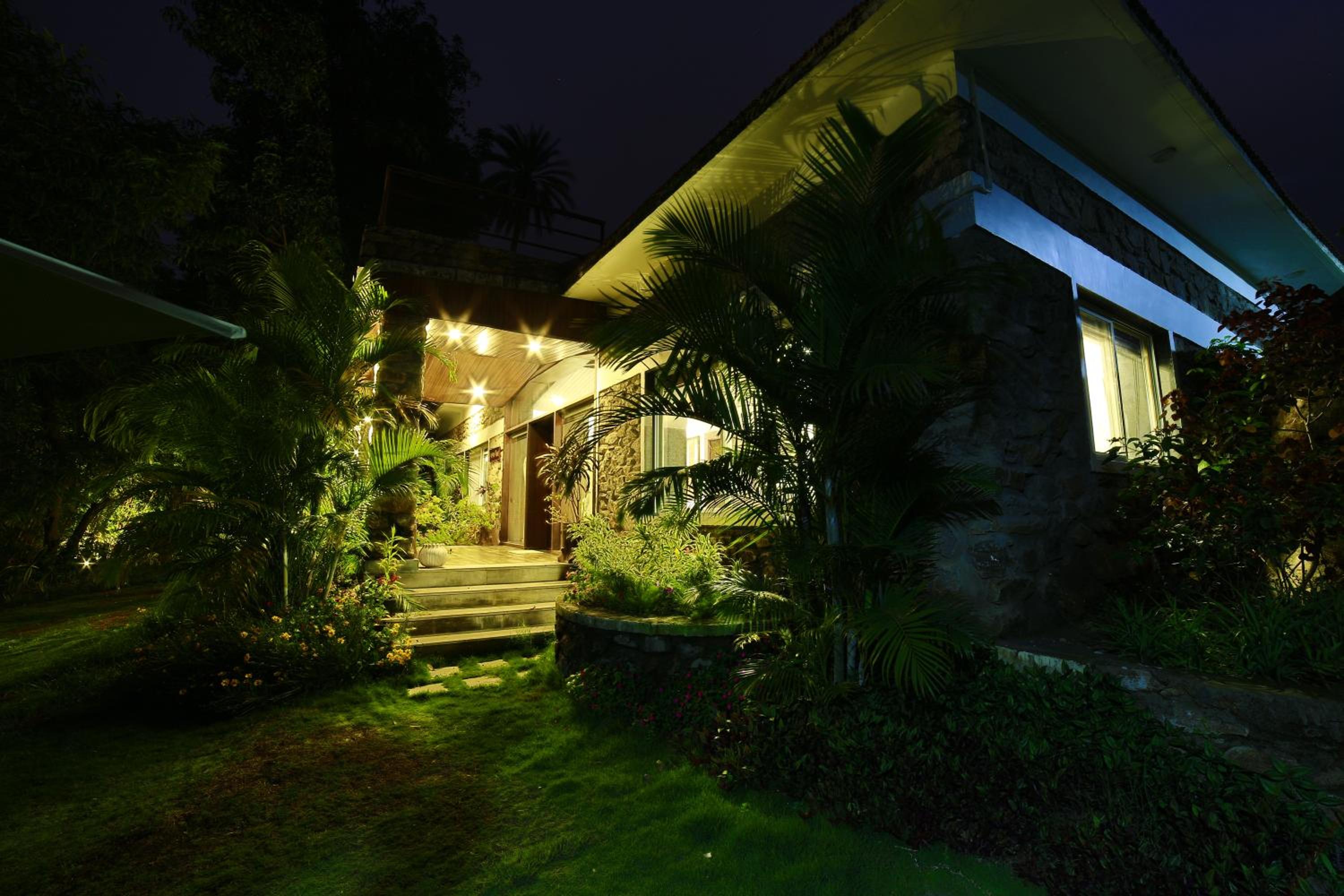 Photo 11