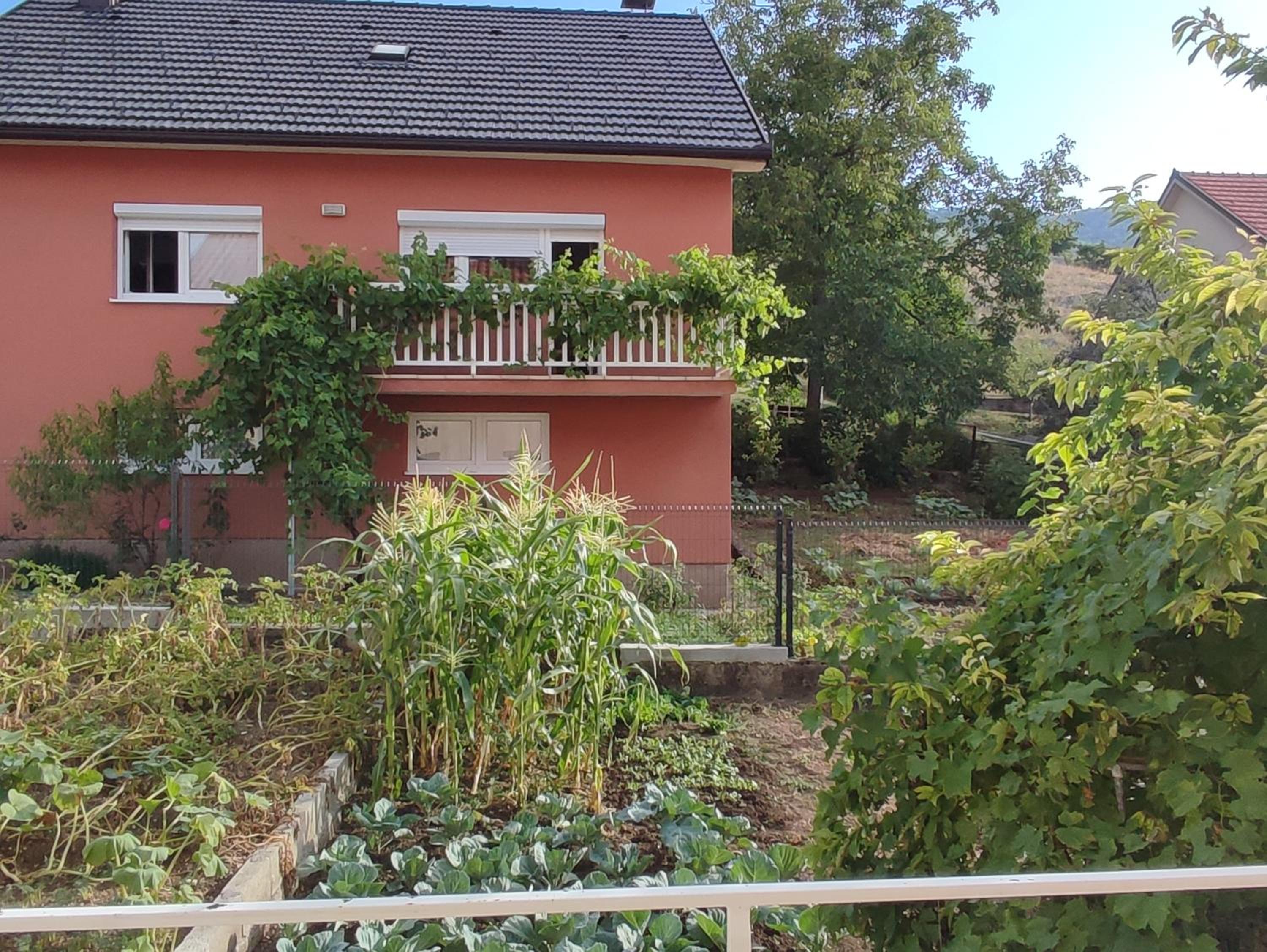 Apartman Bor