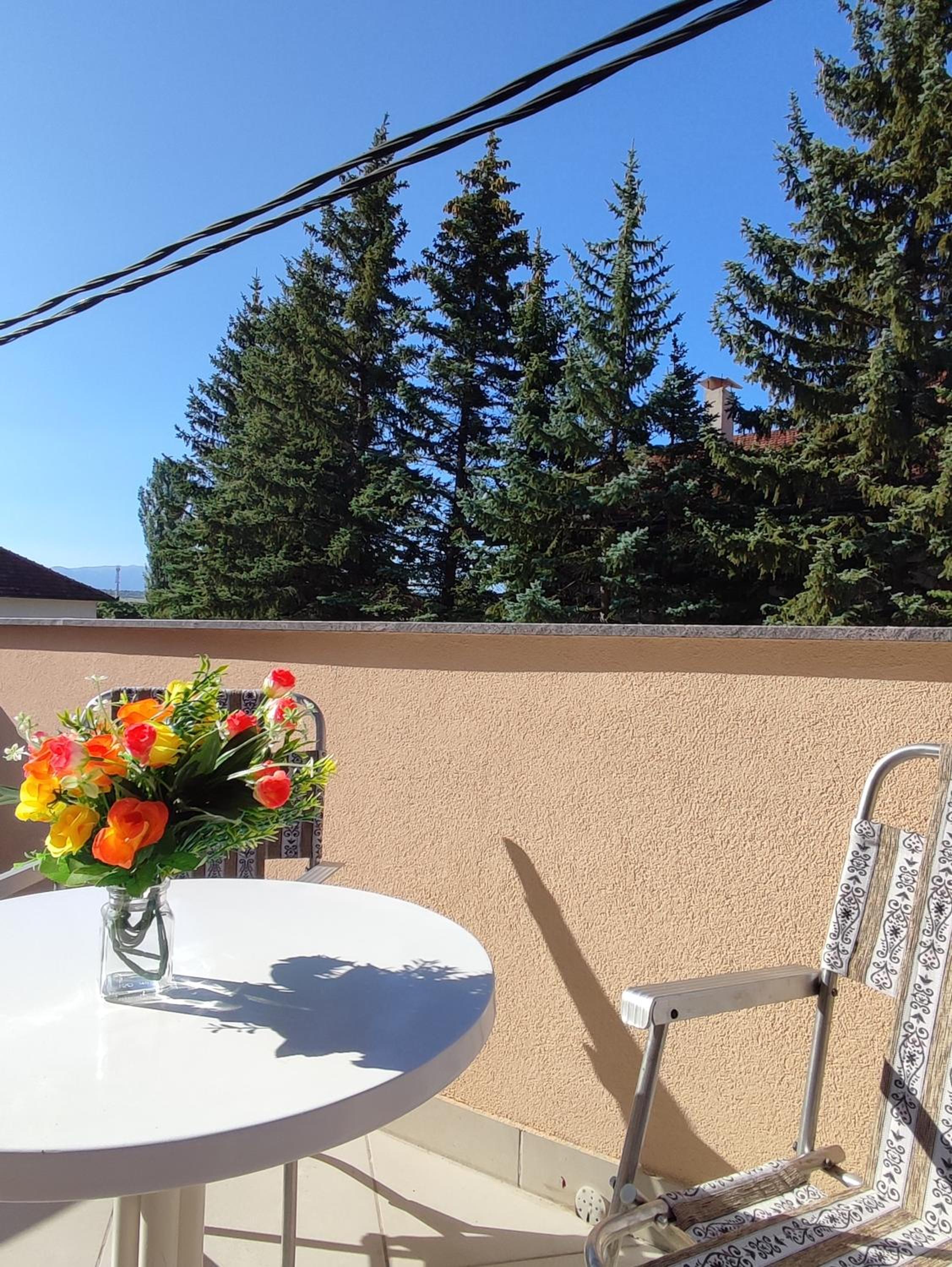 Apartman Bor