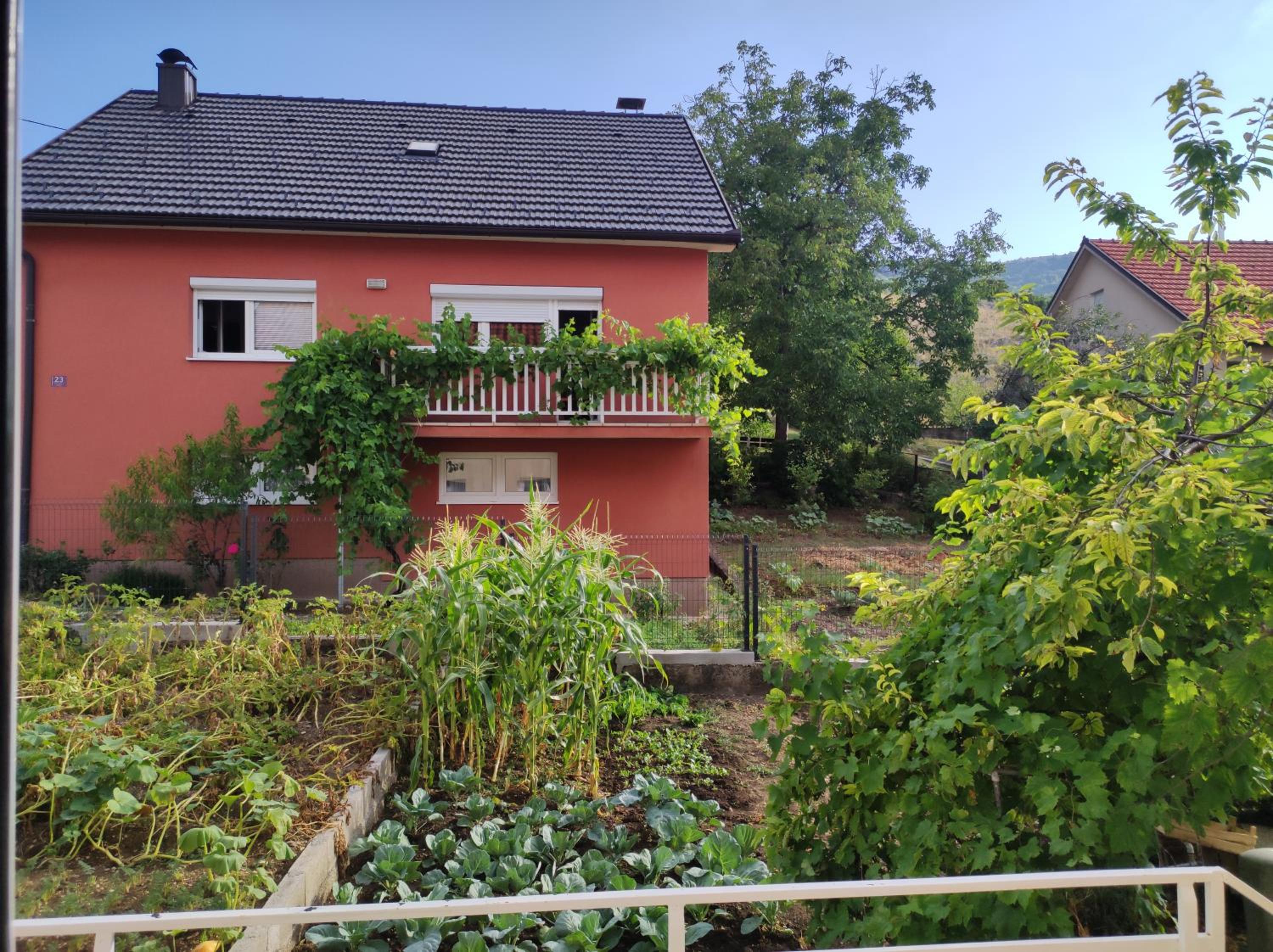 Apartman Bor