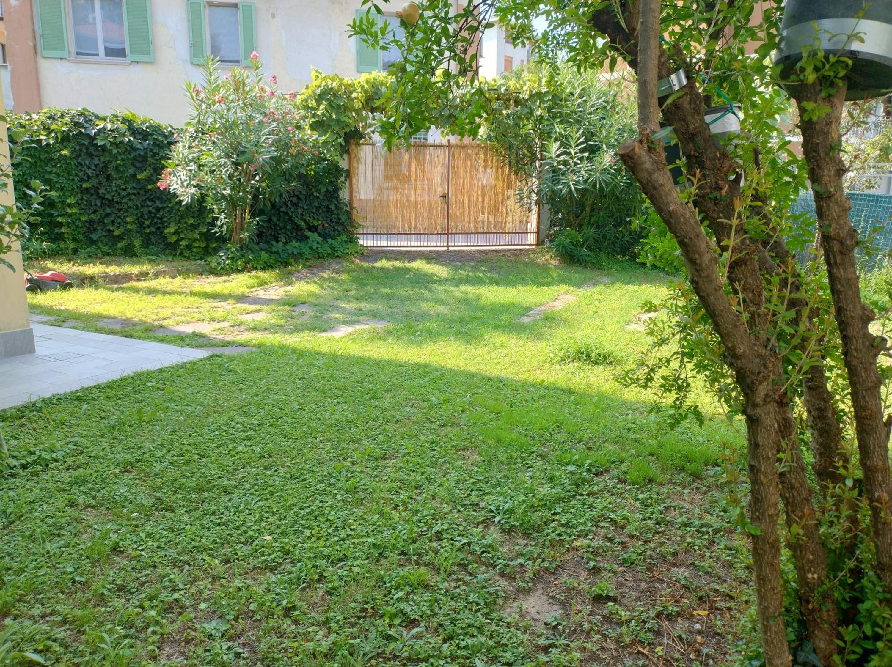 Grace's house view 2
