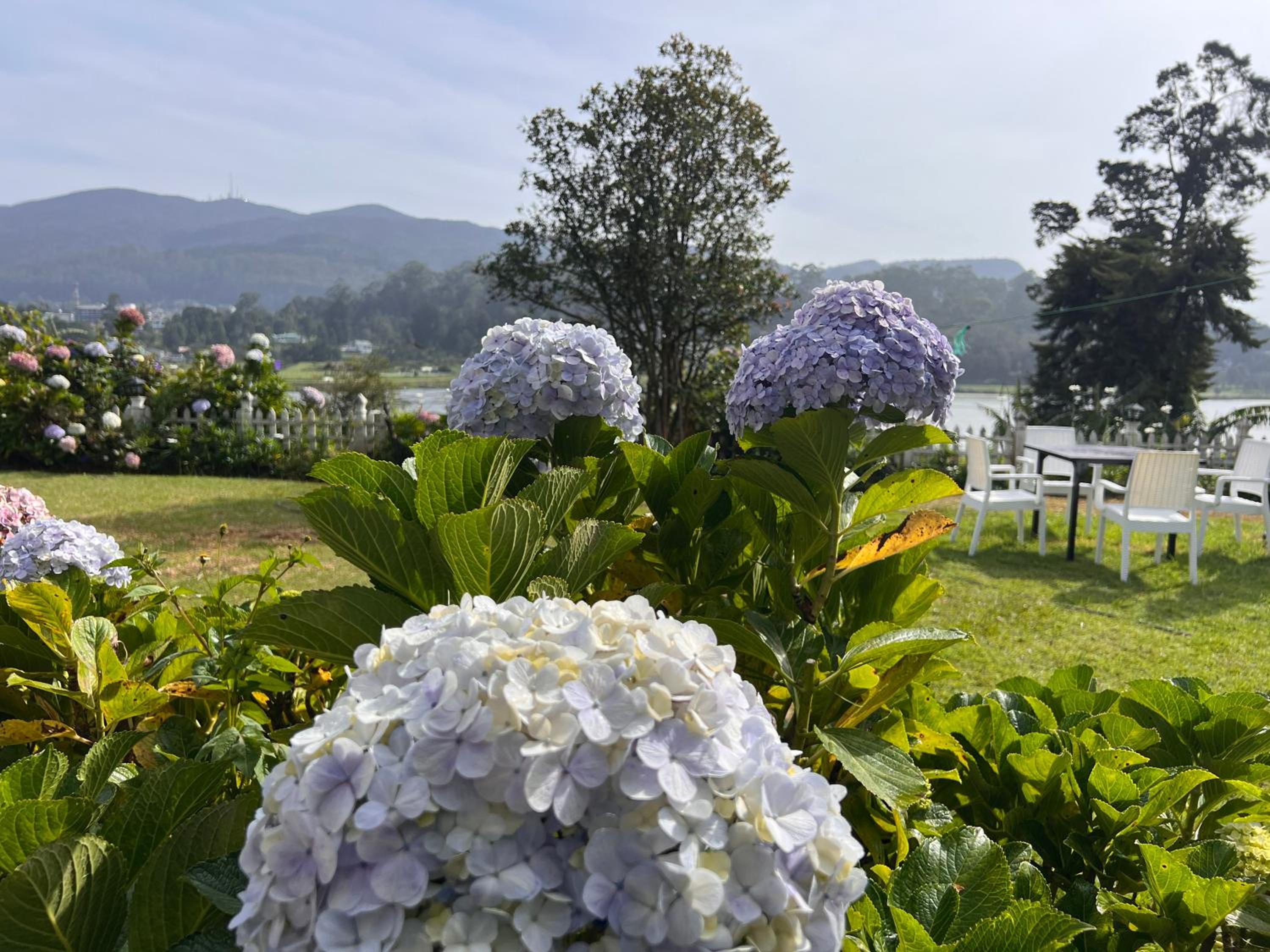 Lakeside Garden Bungalow 湖畔花园山居 view 5