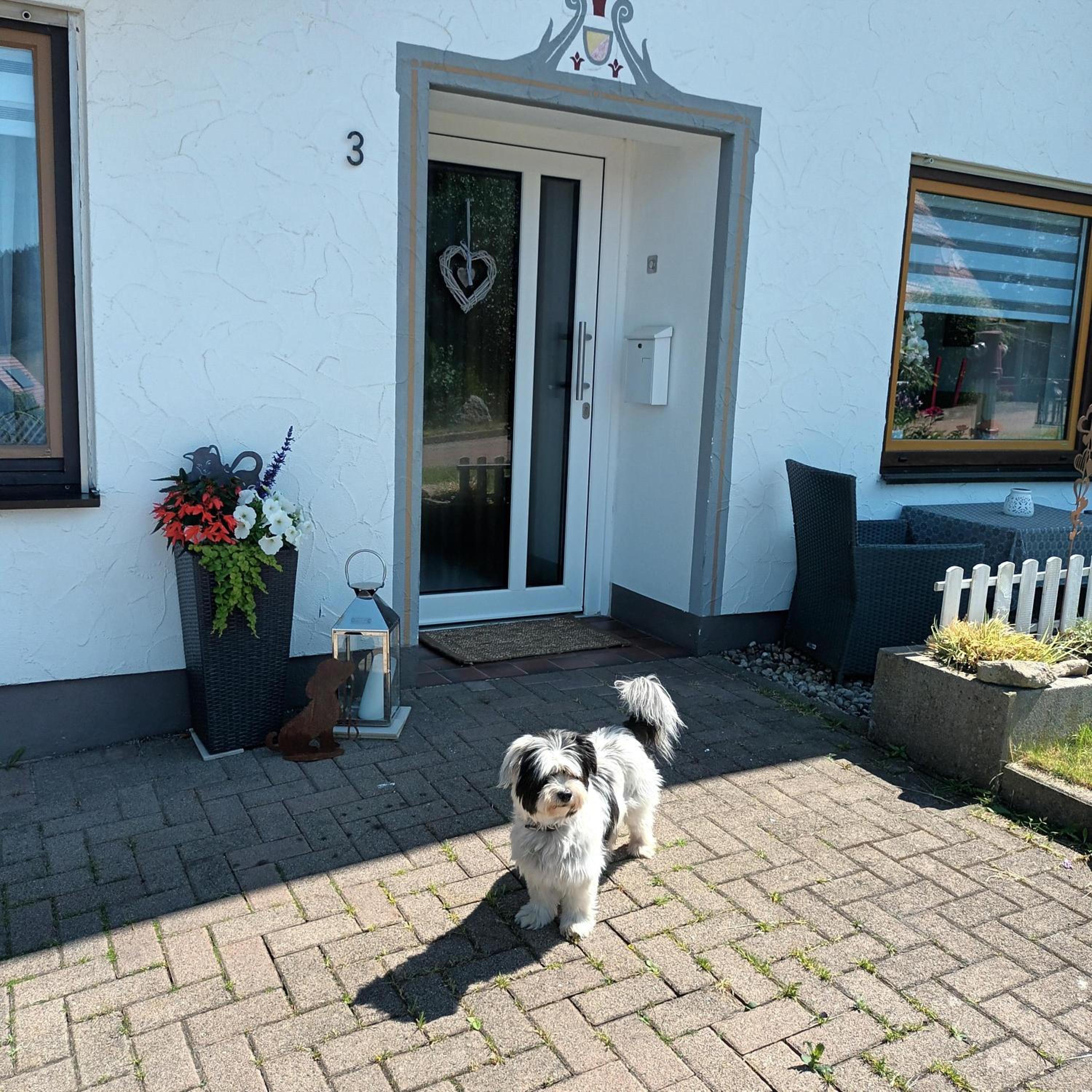 Ferienwohnung Brigachglück