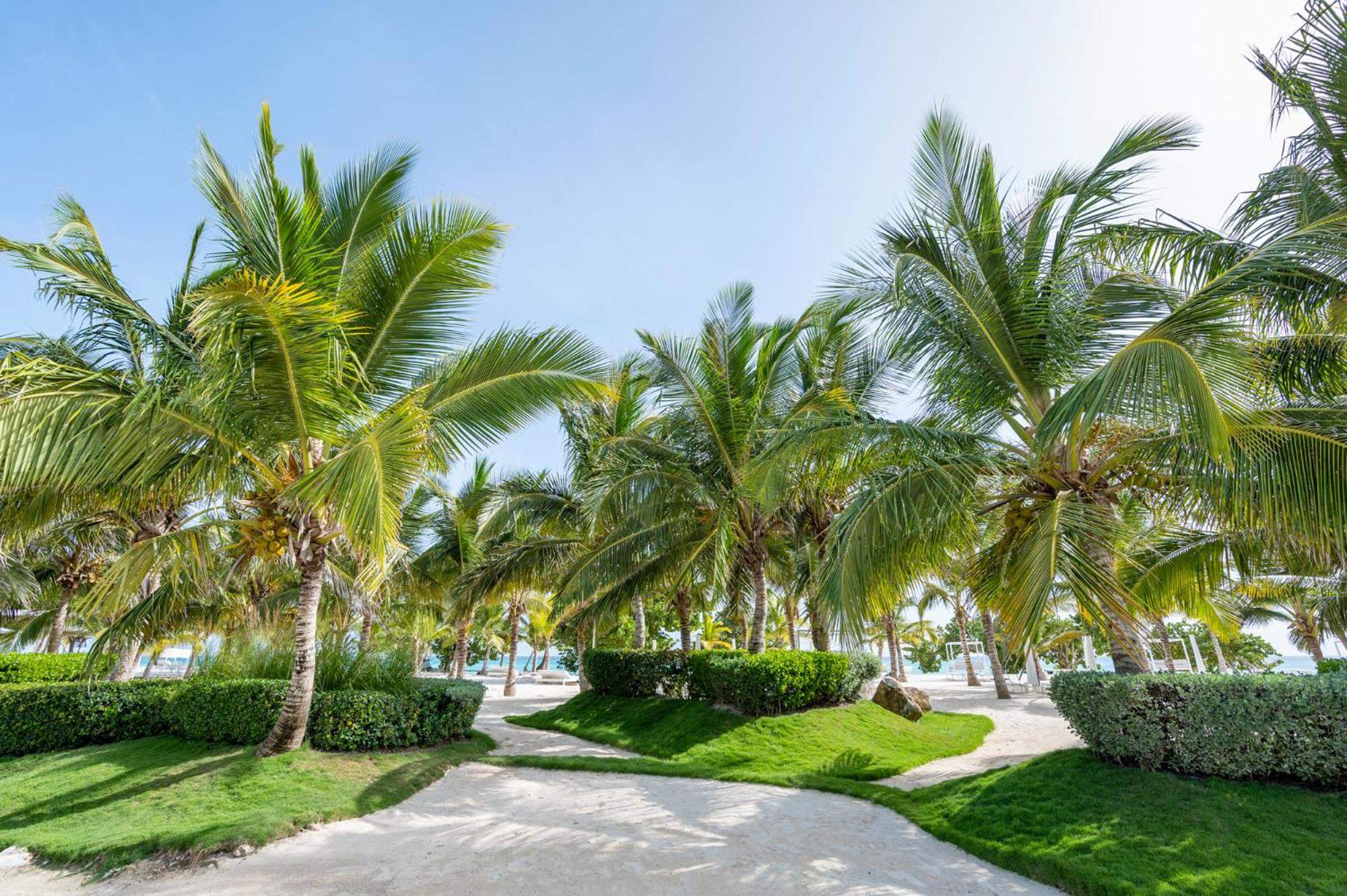 Aqua Esmeralda Luxury Beach Front Apartment